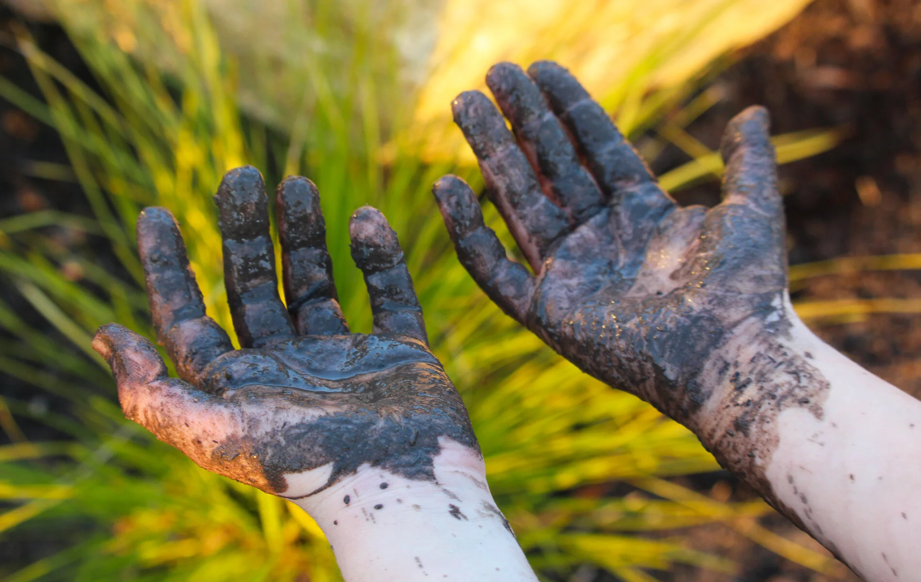greener-garden-company-806jpg.jpg