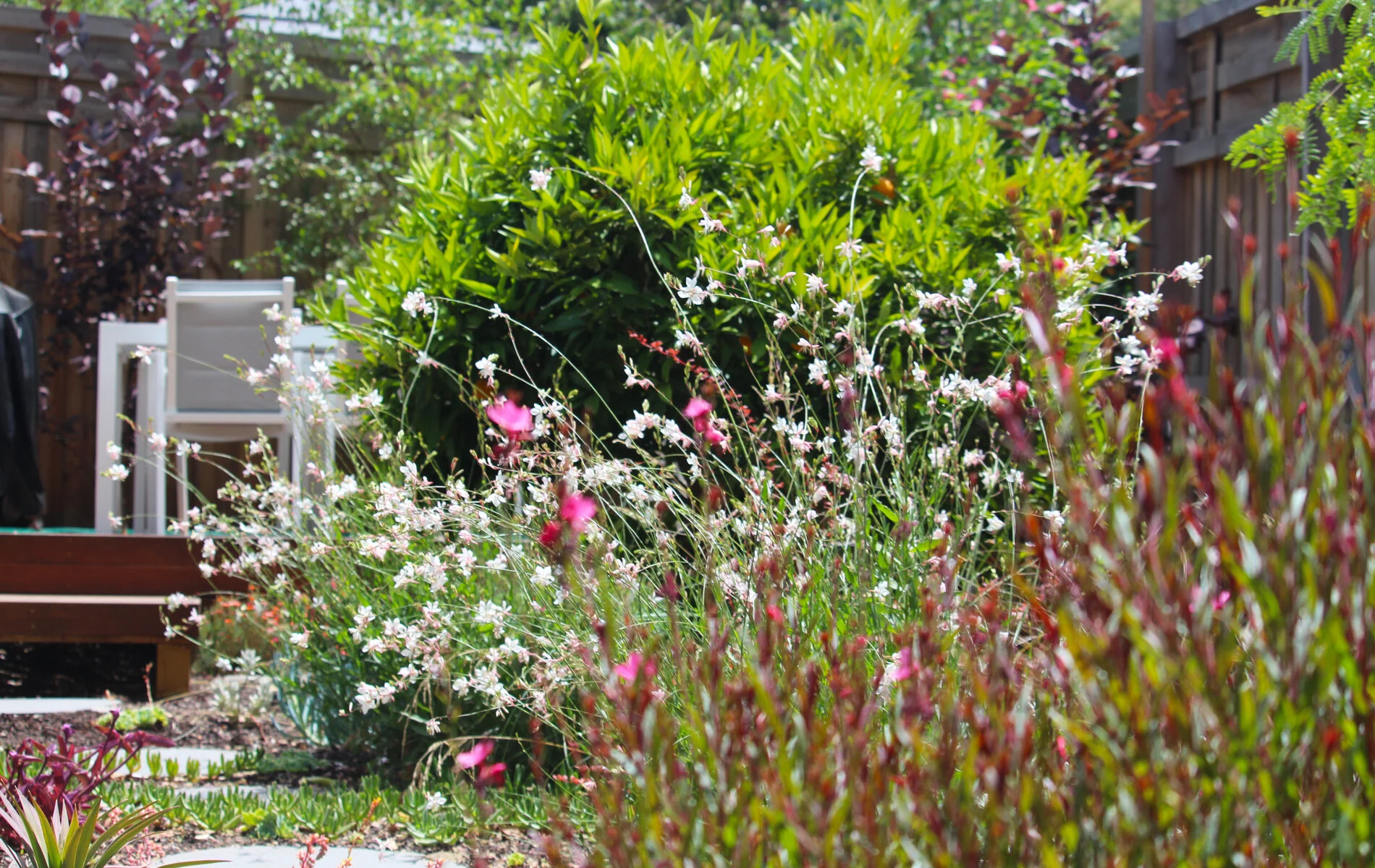 greener-garden-company-286.jpg