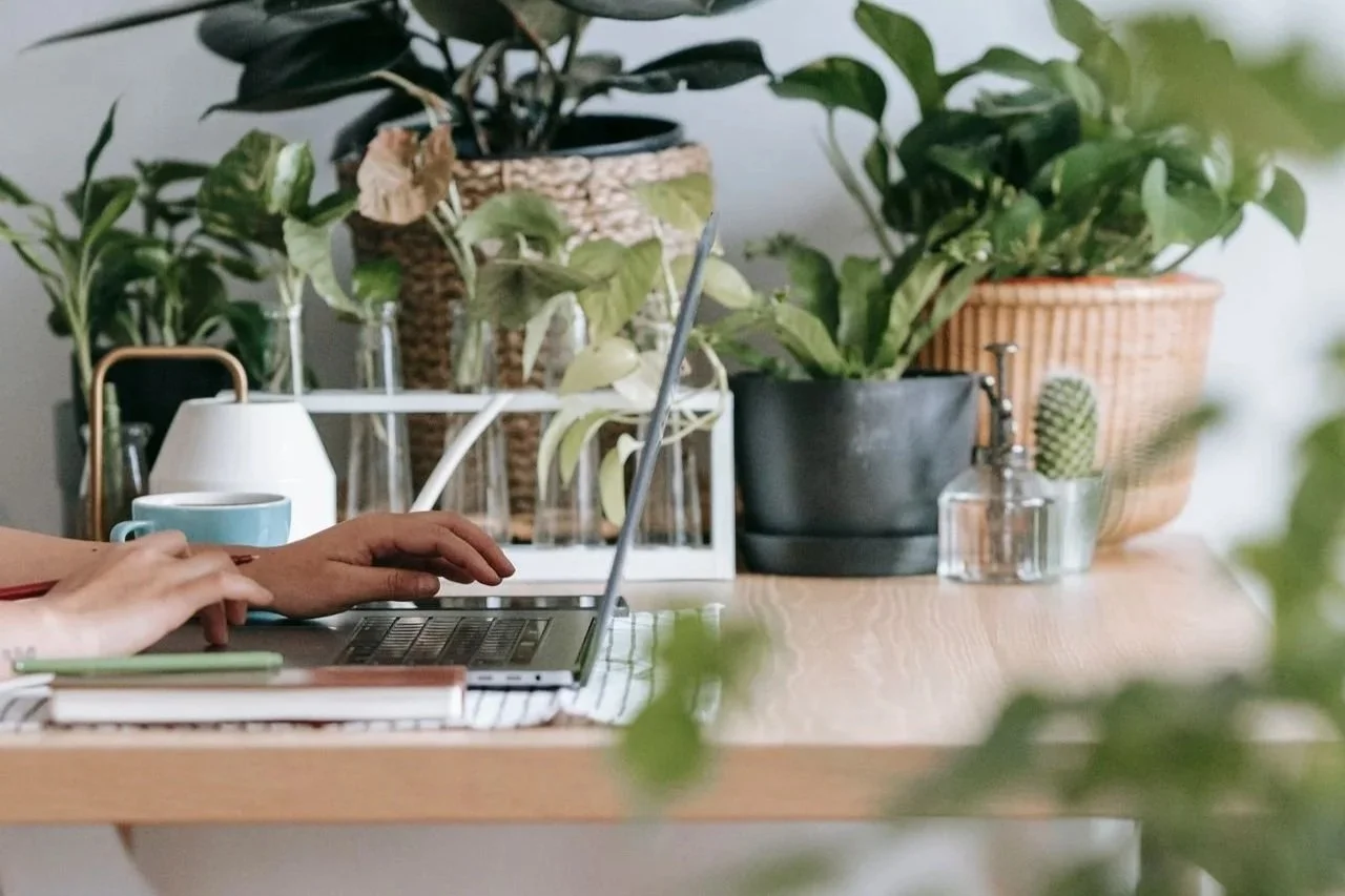 Fotograaf zoekt naar een gepaste Squarespace webdesigner in plaats van Squarespace templates te gebruiken