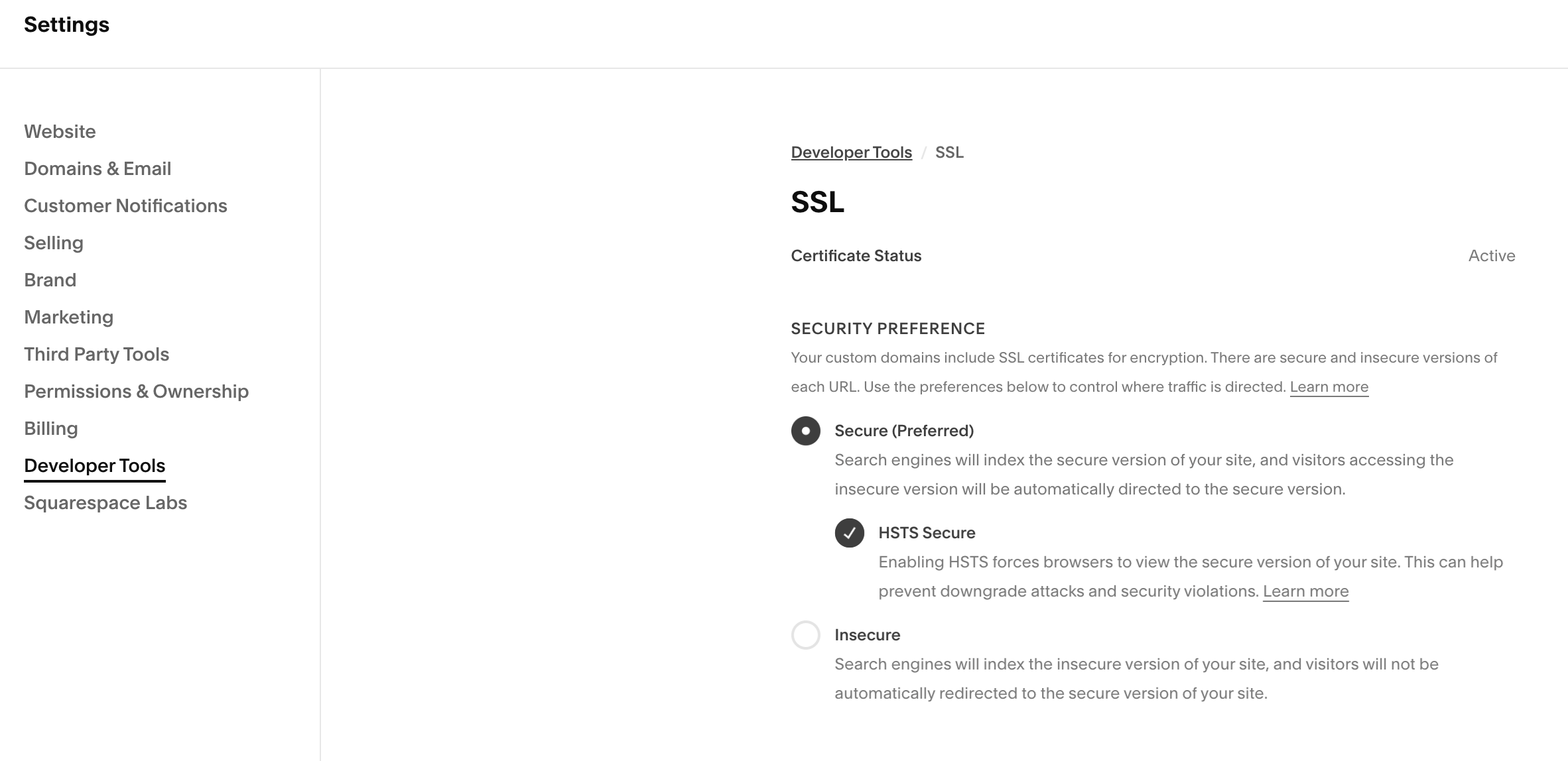 Stappen om HTTPS toe te voegen aan je Squarespace website