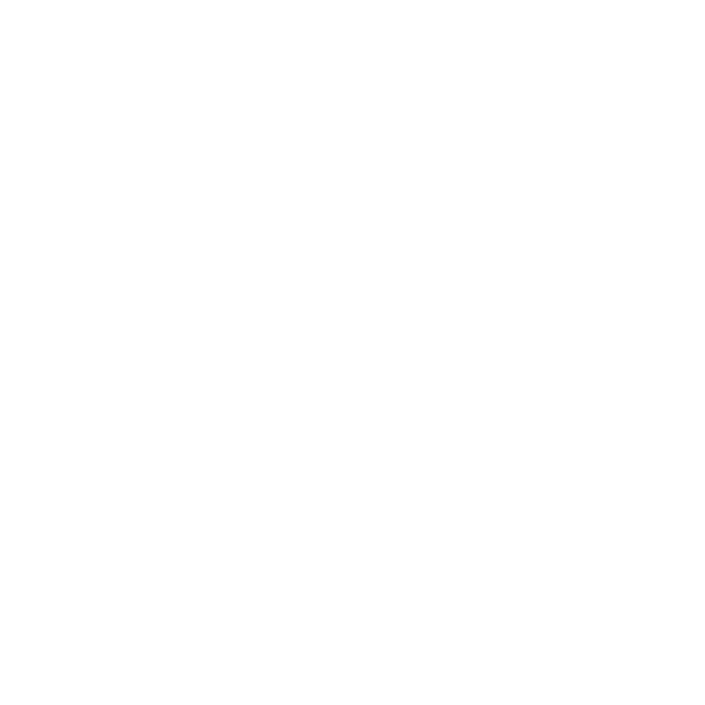 Ninja Service