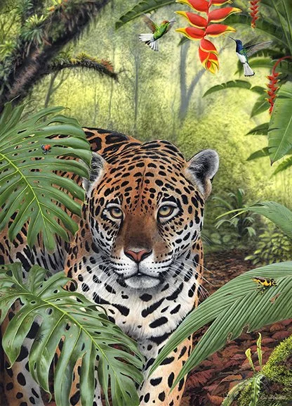Jaguar ,Hummingbird paintings by Nigel Artingstall frame copy.jpg