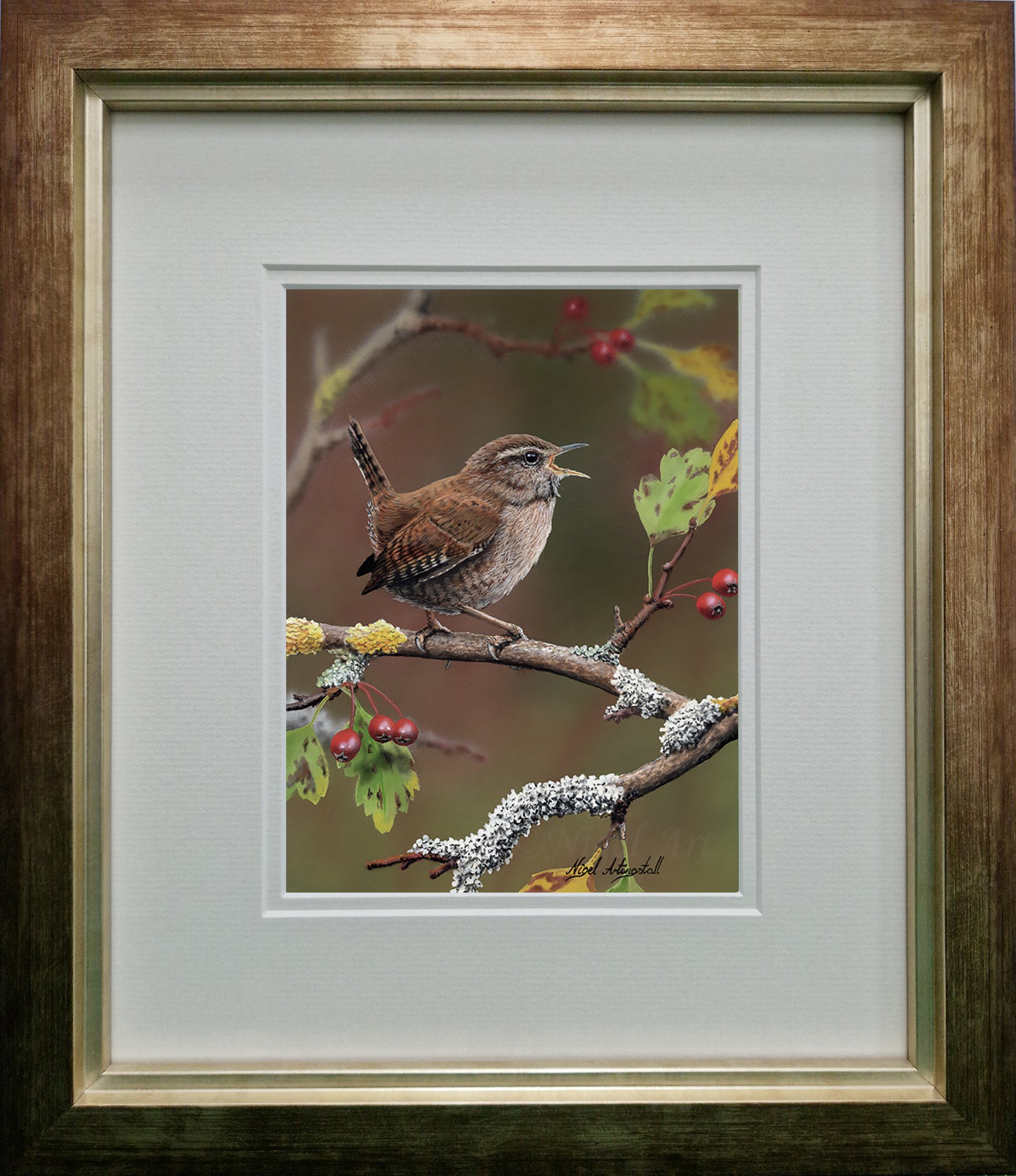 Wren painting 7956 by wildlife artist Nigel Artingstall.jpg