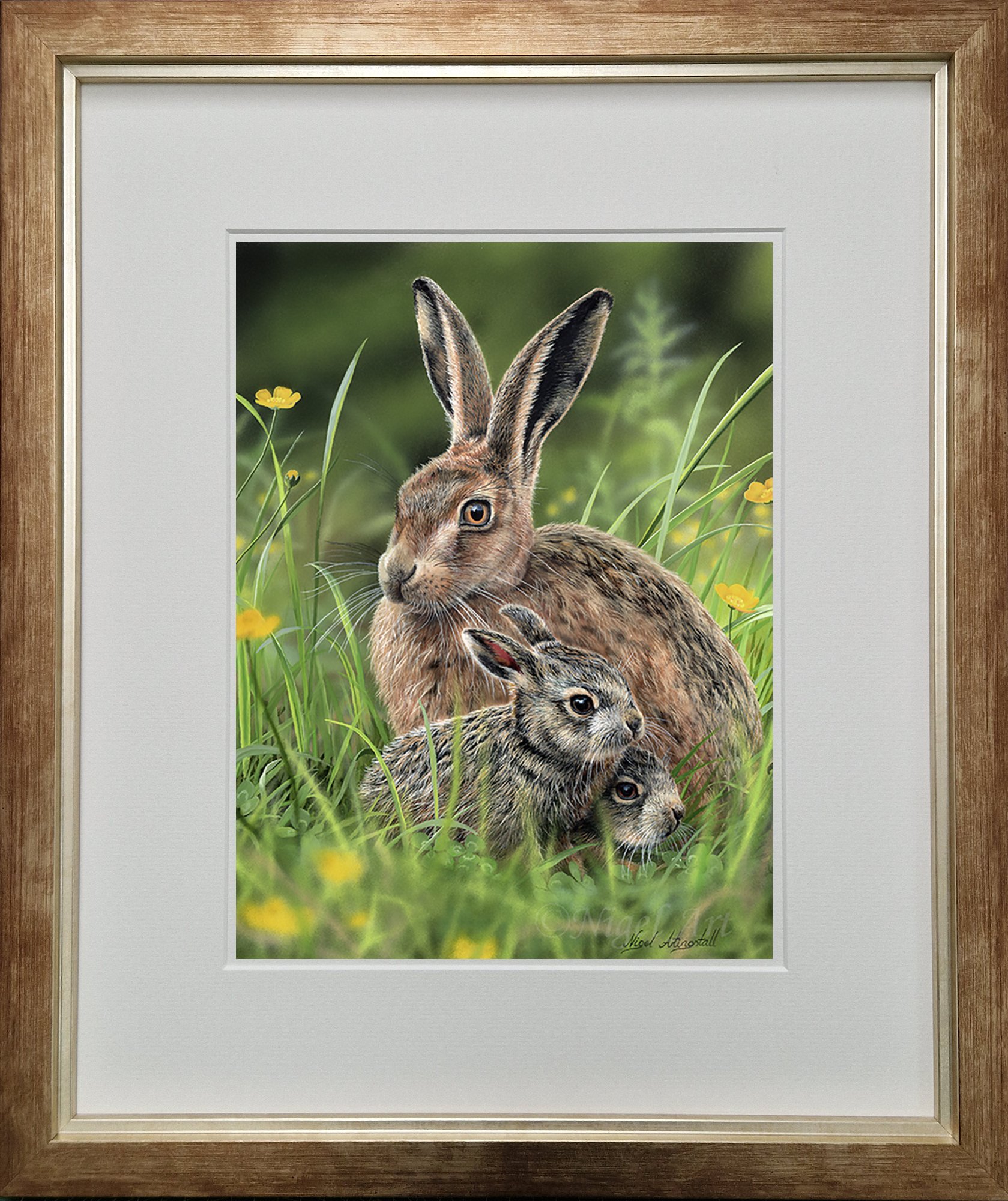 Brown Hare 9156 framed.jpg