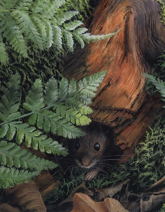 Hide and Seek (Wood Mouse) Detail.jpg