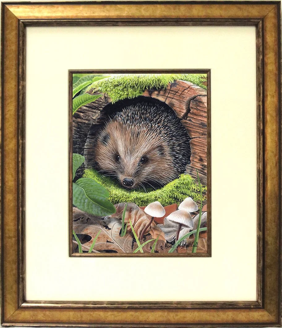 Hedgehog painting 9256 by British-Wildlife Artist Nigel Artingstall.jpg