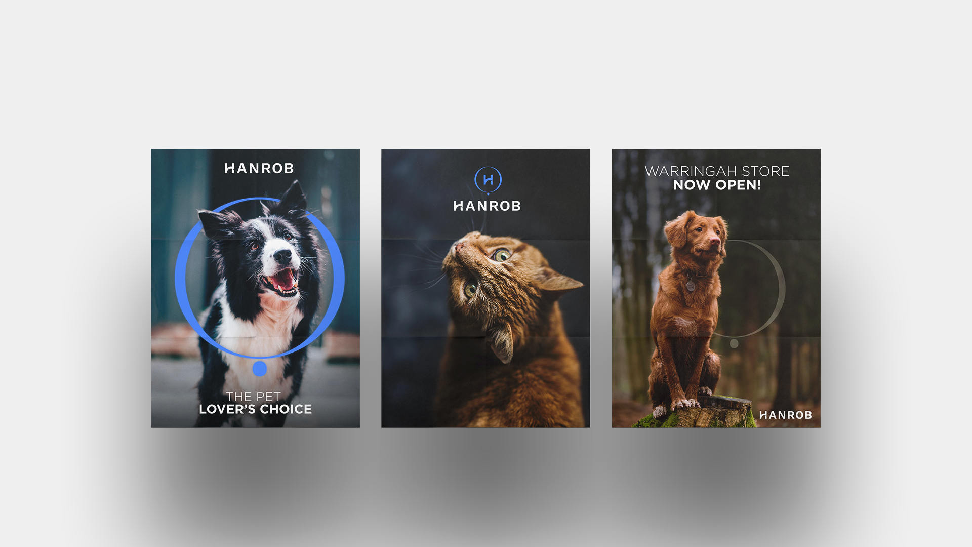 Hanrob - Brand identity design