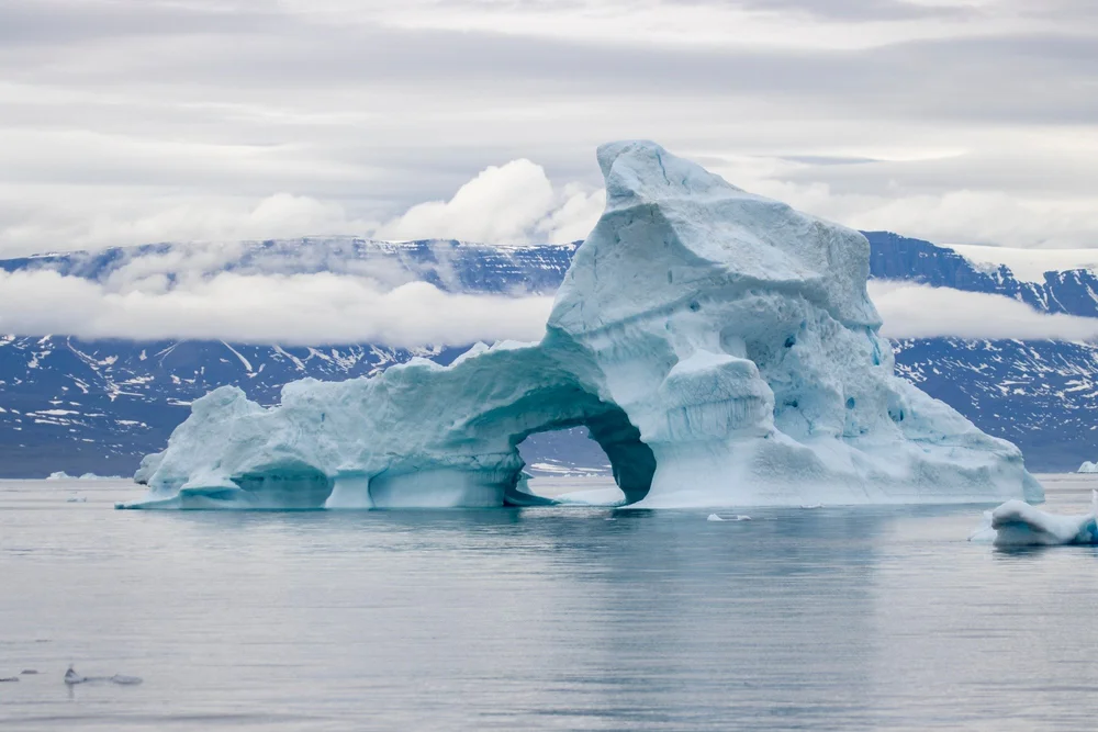Icebergs Vaigat Canal.jpeg