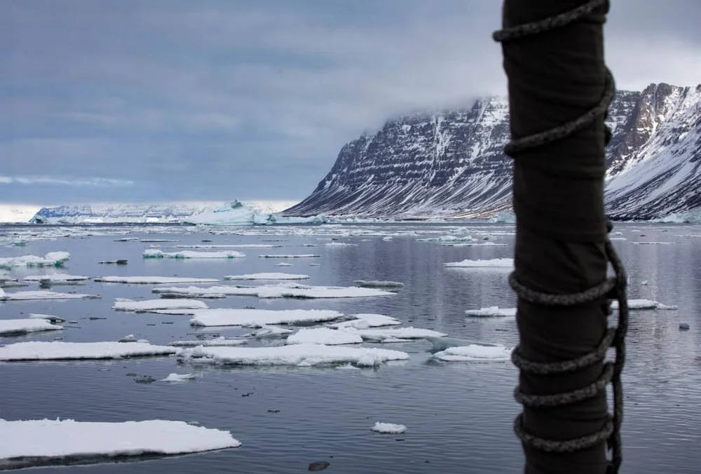Kangerluarsuk Fjord Lily Pads Ice.jpeg