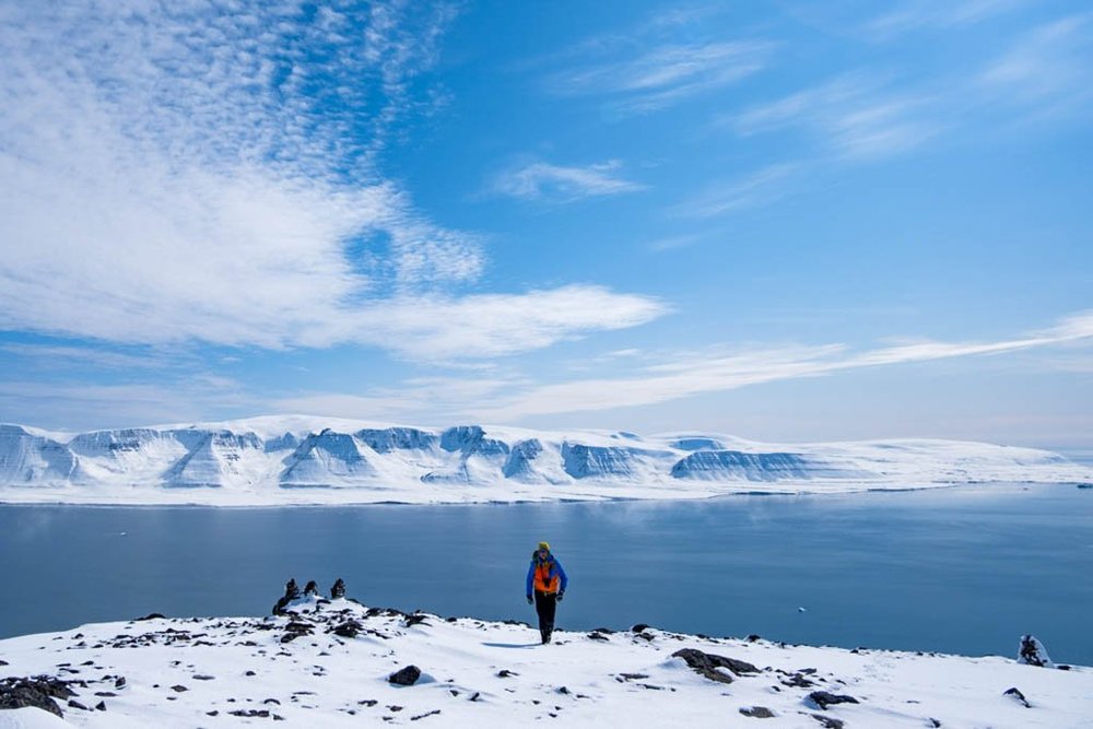 Kangerluarsuk Fjord.jpeg