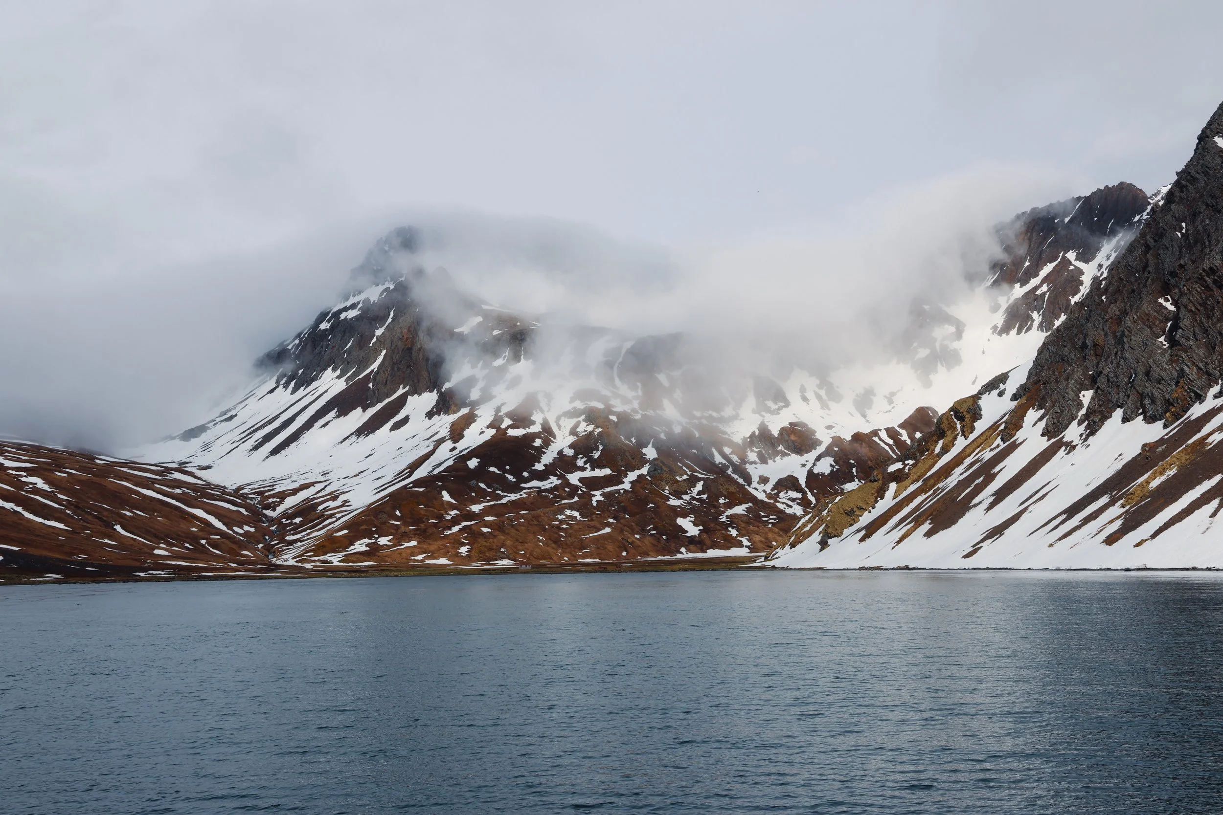 Episode : South Georgia 2024