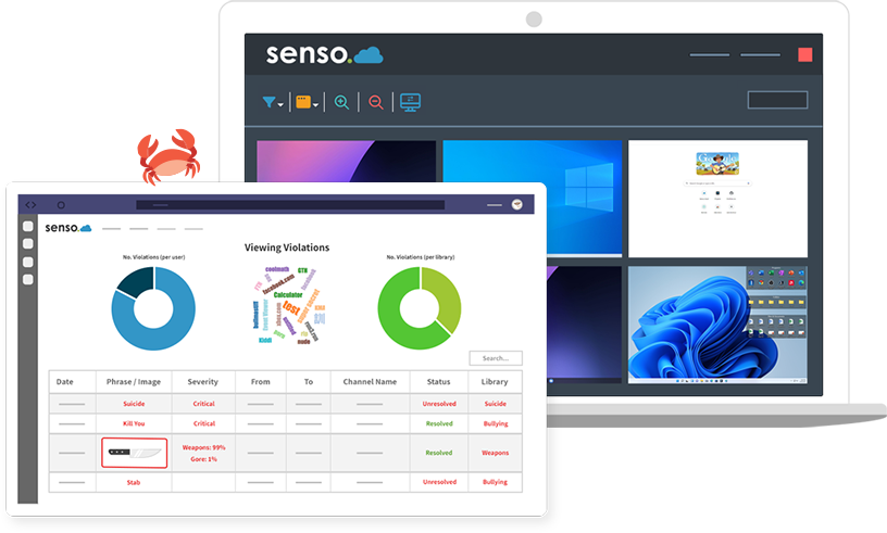 Senso Bundles and Pricing — Maitek Solutions