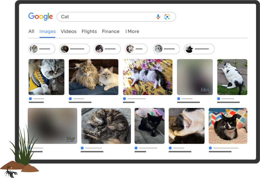 Instantly blur online images