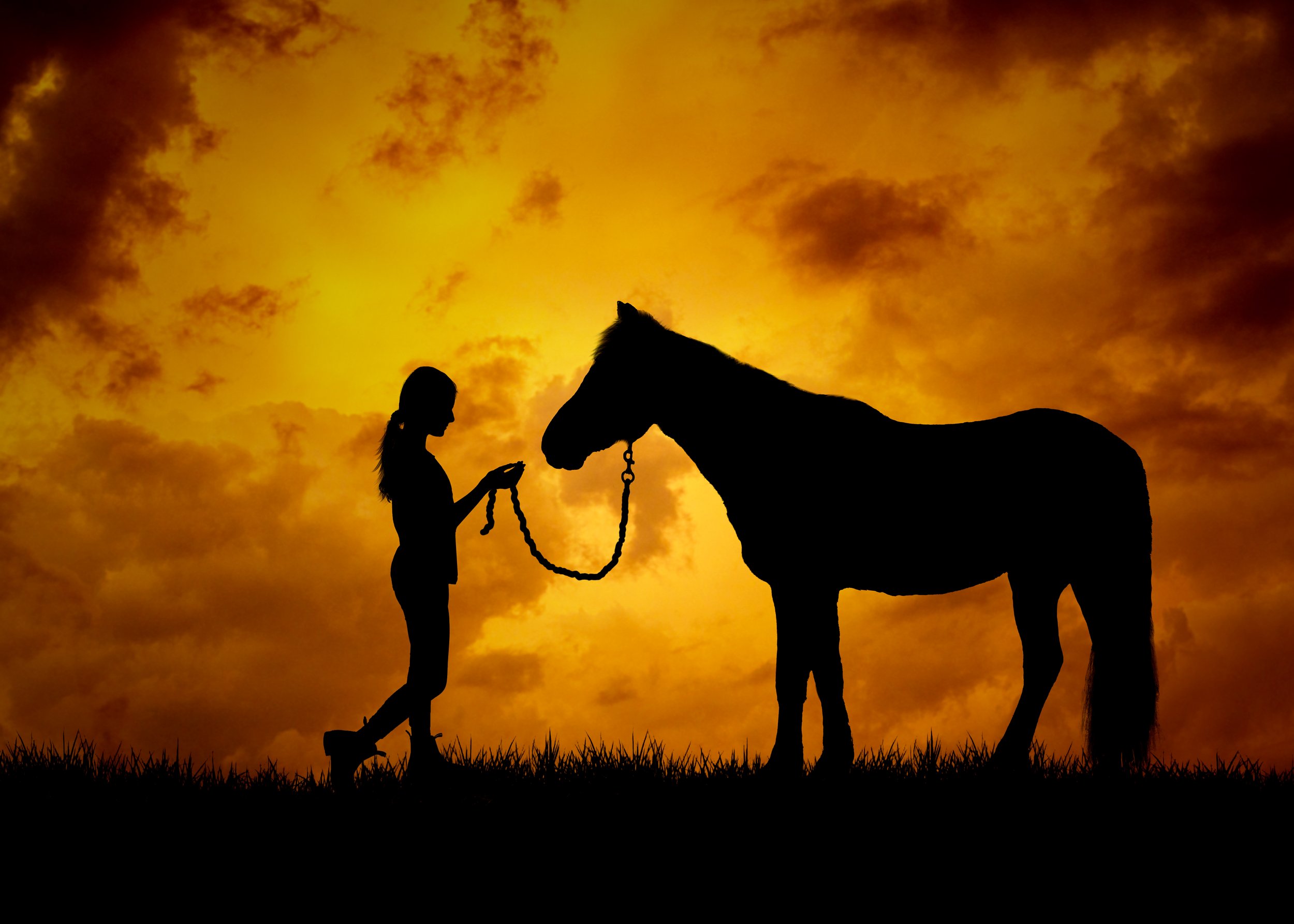 Horse Silhouette Red Sky Background.jpg