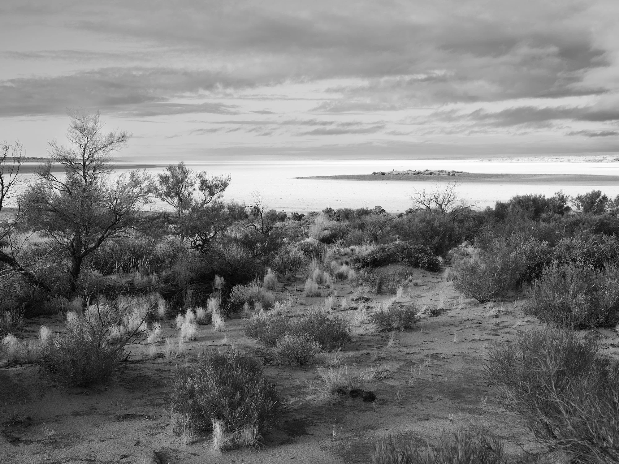 GINTY, Genevieve - Salt Lake #5 (2022716).jpg