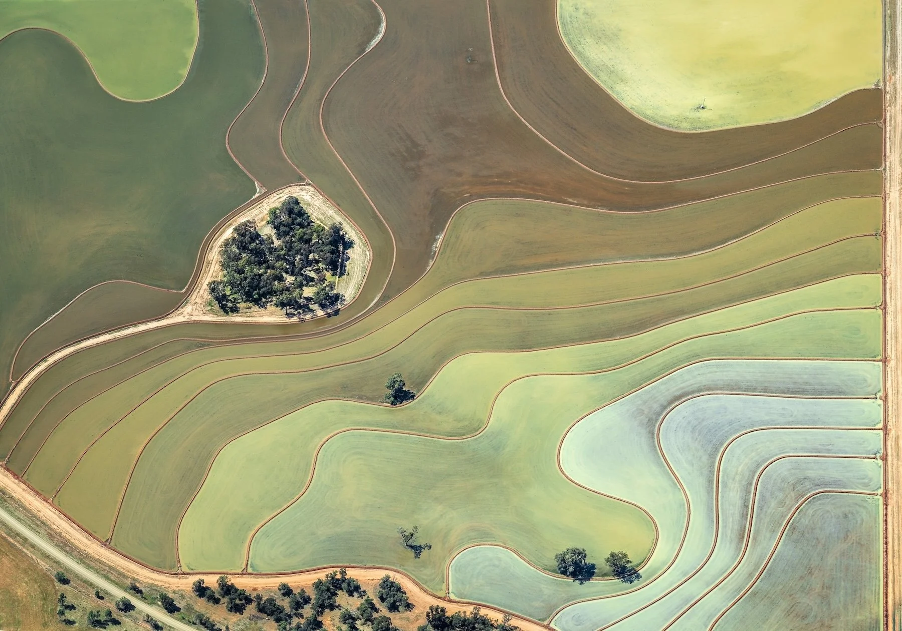 Aquaric tapestry_I.H._JPG (1).JPG