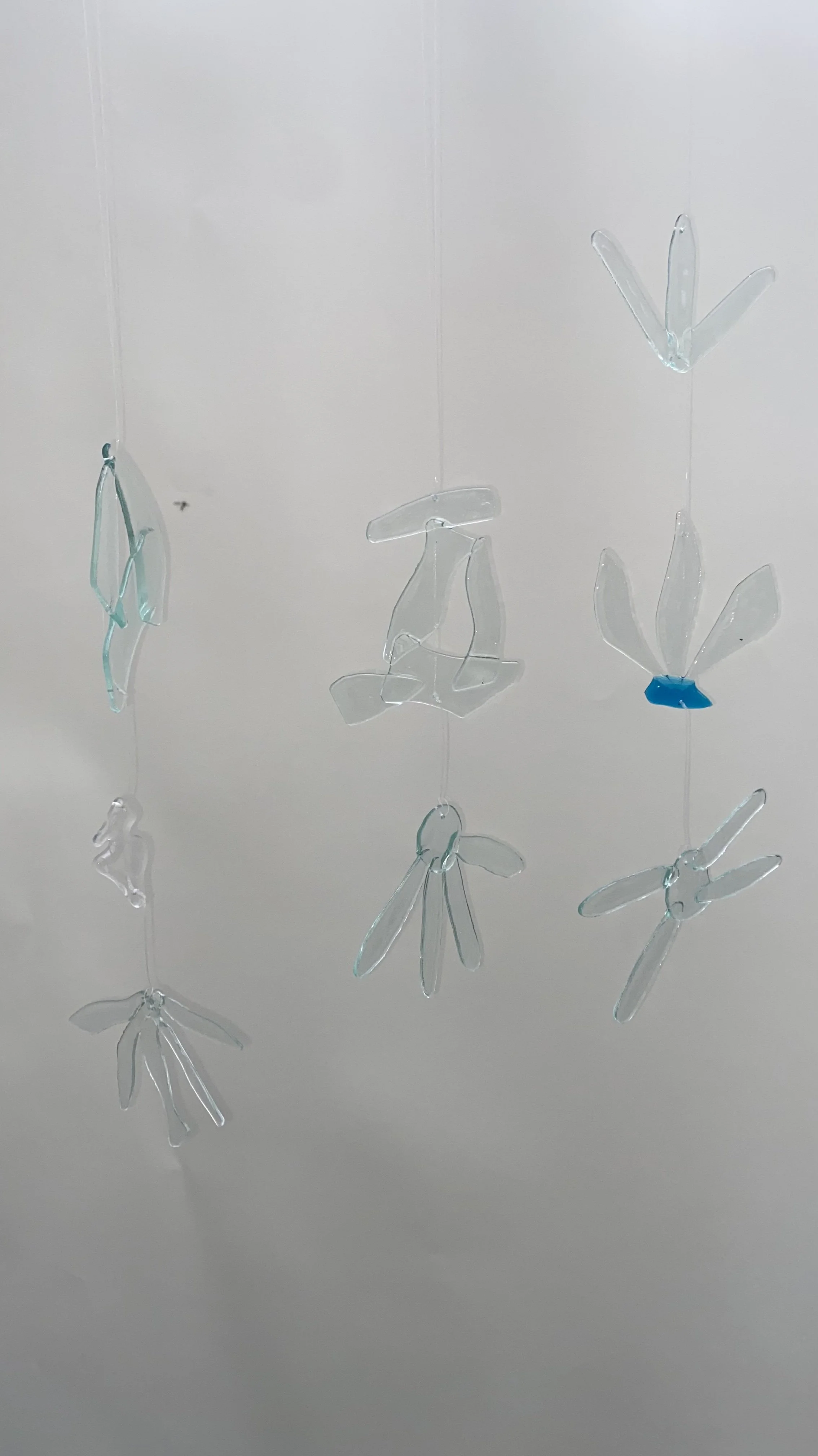 Fragments of Nature - Translucent