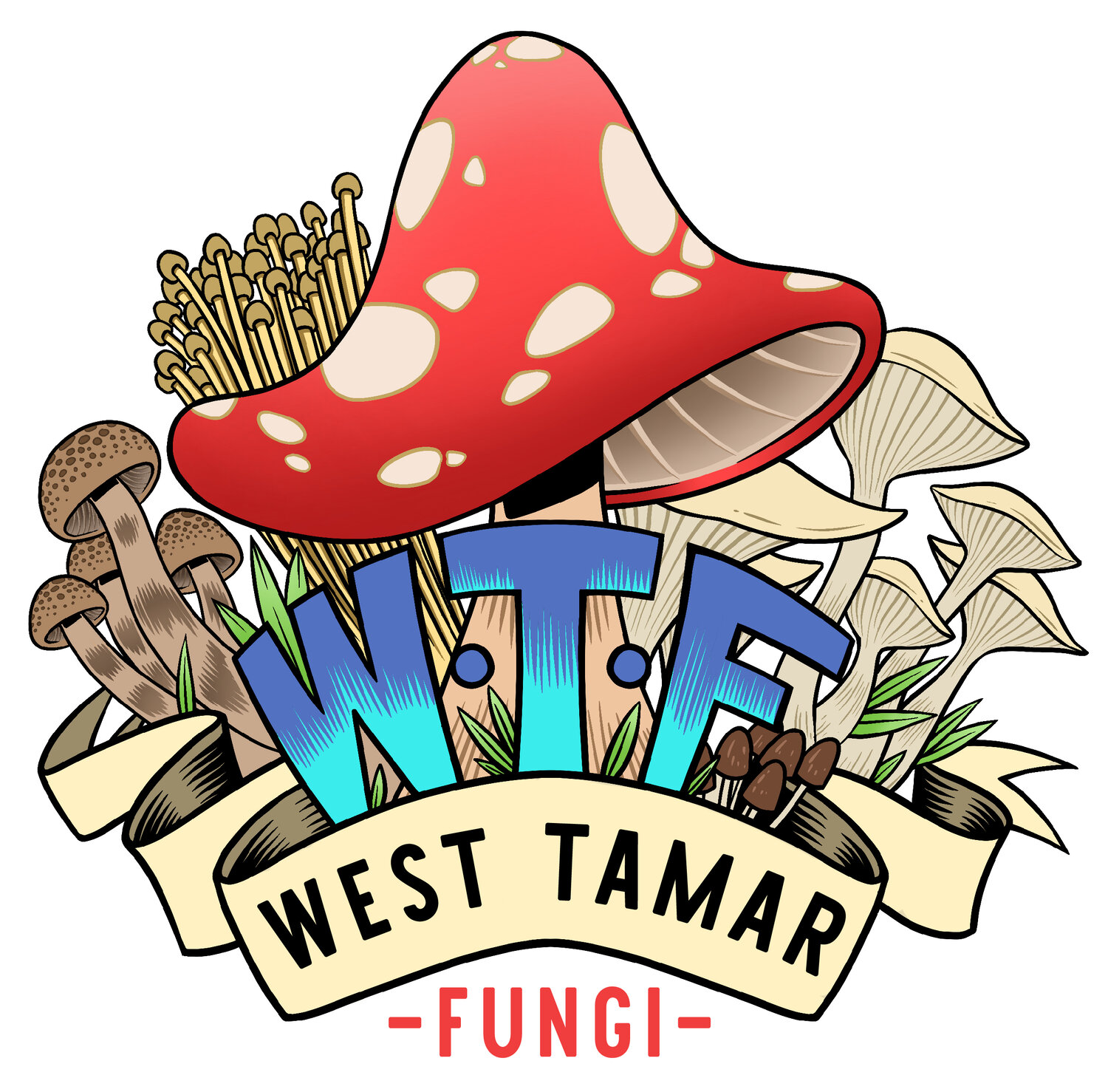 West Tamar Fungi 