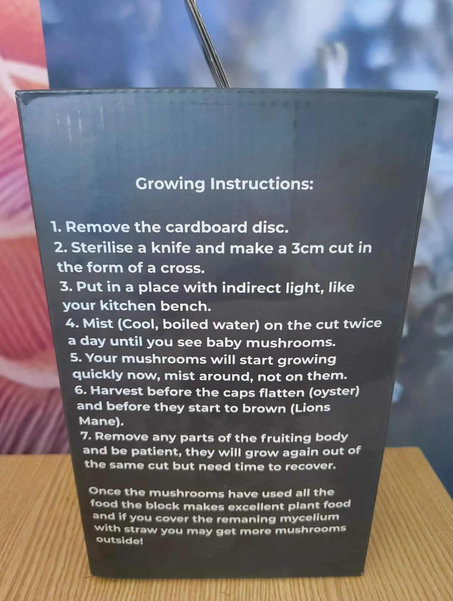 box 2.jpg