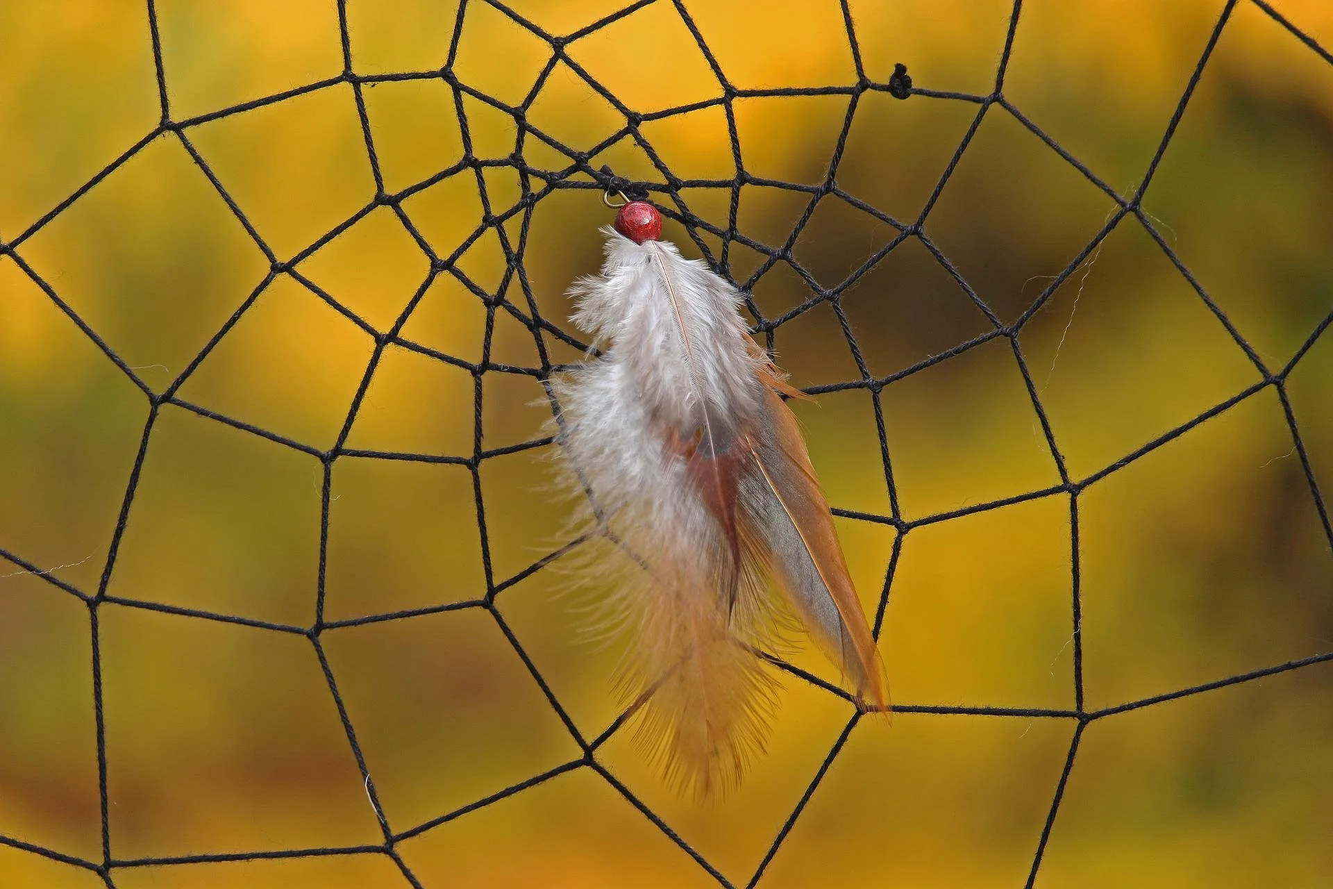 dream-catcher-4626858_1920.jpg