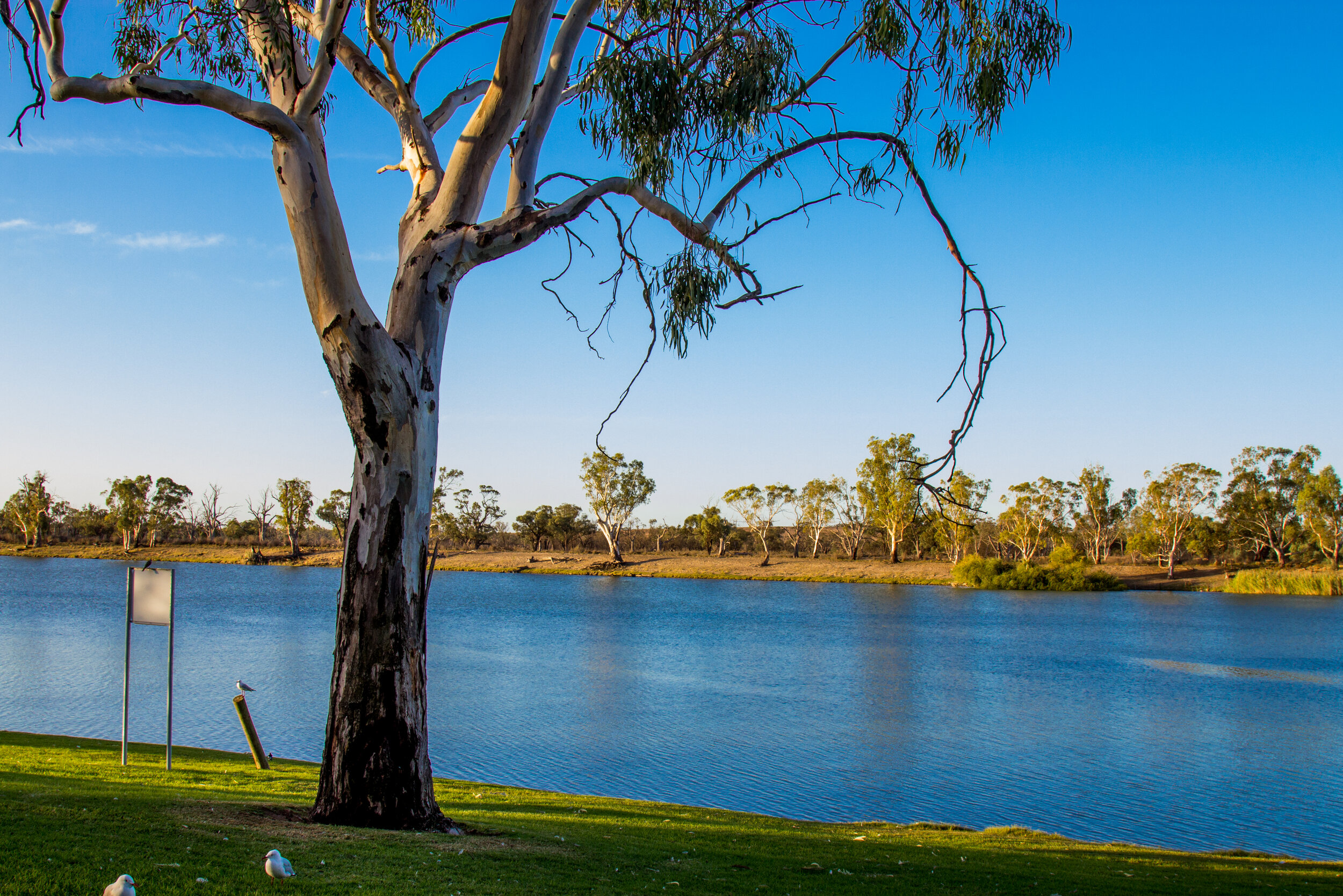 Waikerie-22.jpg