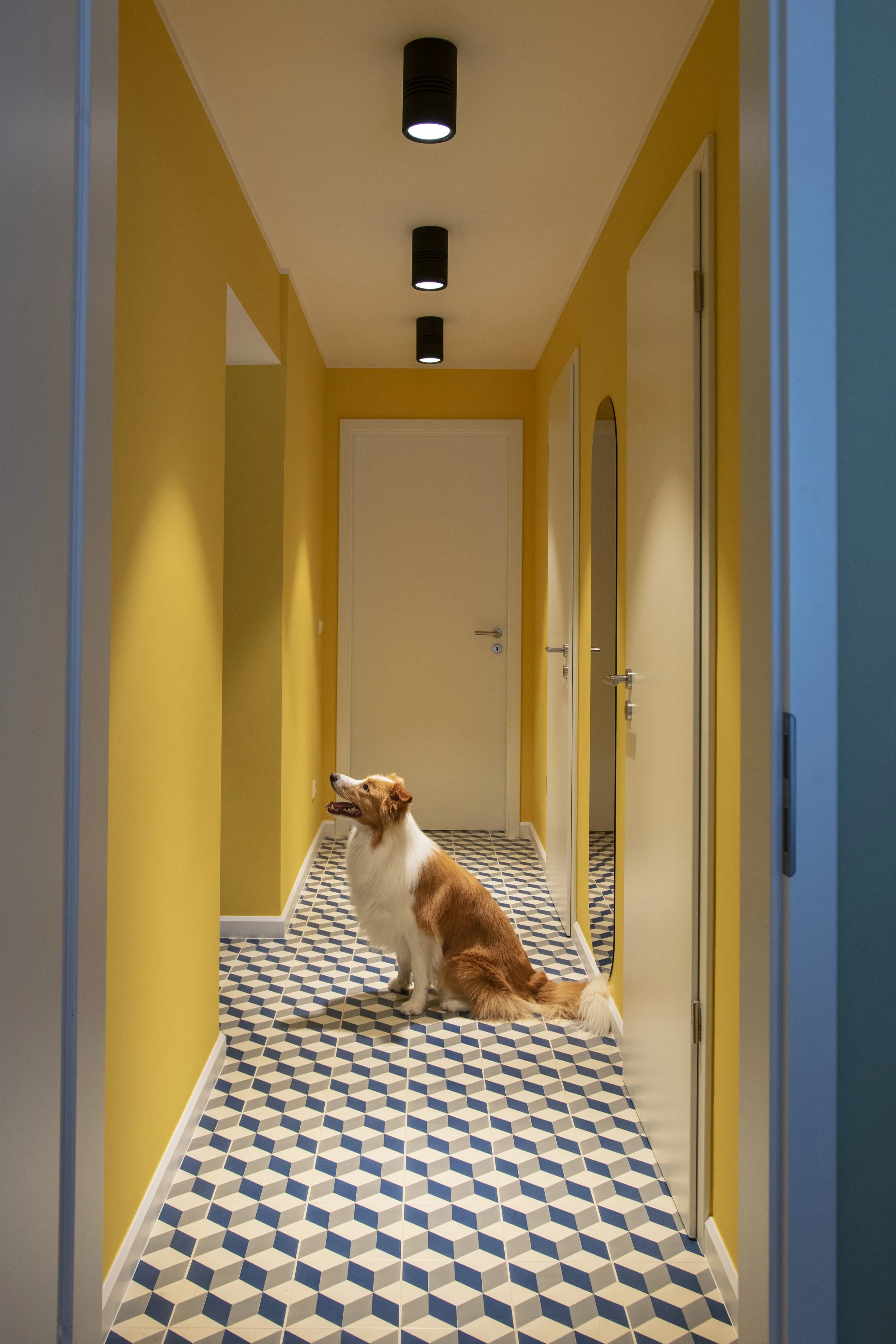A dog with white and brown fur sitting on a patterned tile floor in a yellow hallway with white doors and black ceiling lights.