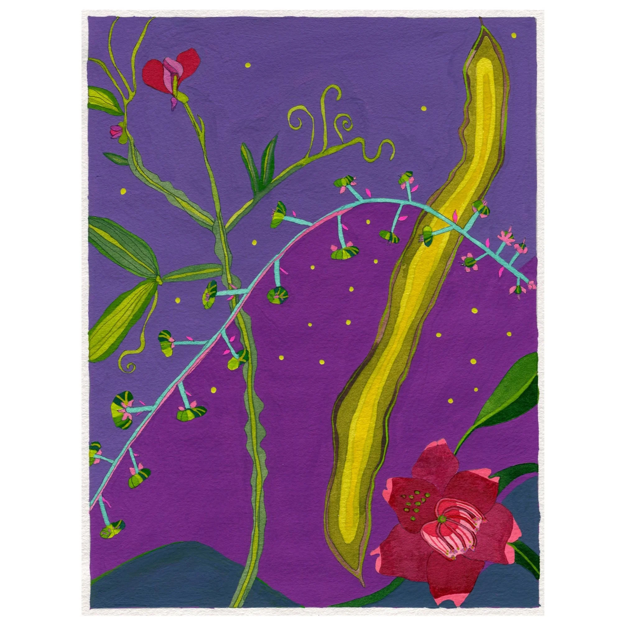 Title:  Novel Botanical 10 (2024).
Dimensions: 8 x 10 in.
Medium: Watercolor, gouache and ink on paper