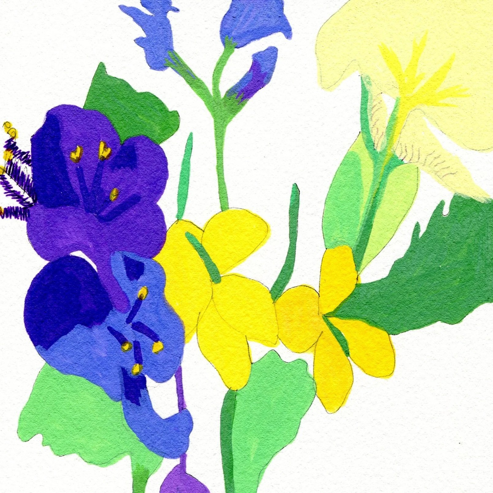 Title: Day 1: spiderwort, celandine, iris and bluebell (2026) Dimensions: 5 x 7 in. Medium: Acrylic marker, black ink and gel pen on acid-free paper