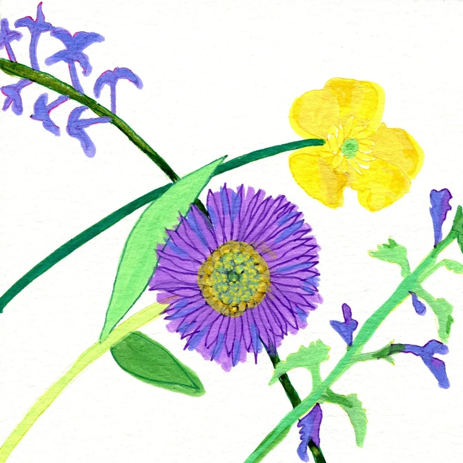 Title: Day 3: lilac, aster, buttercup and ground ivy. (2026) 
Dimensions: 5 x 7 in. 
Medium: Acrylic marker, ink and gel pen on acid-free paper