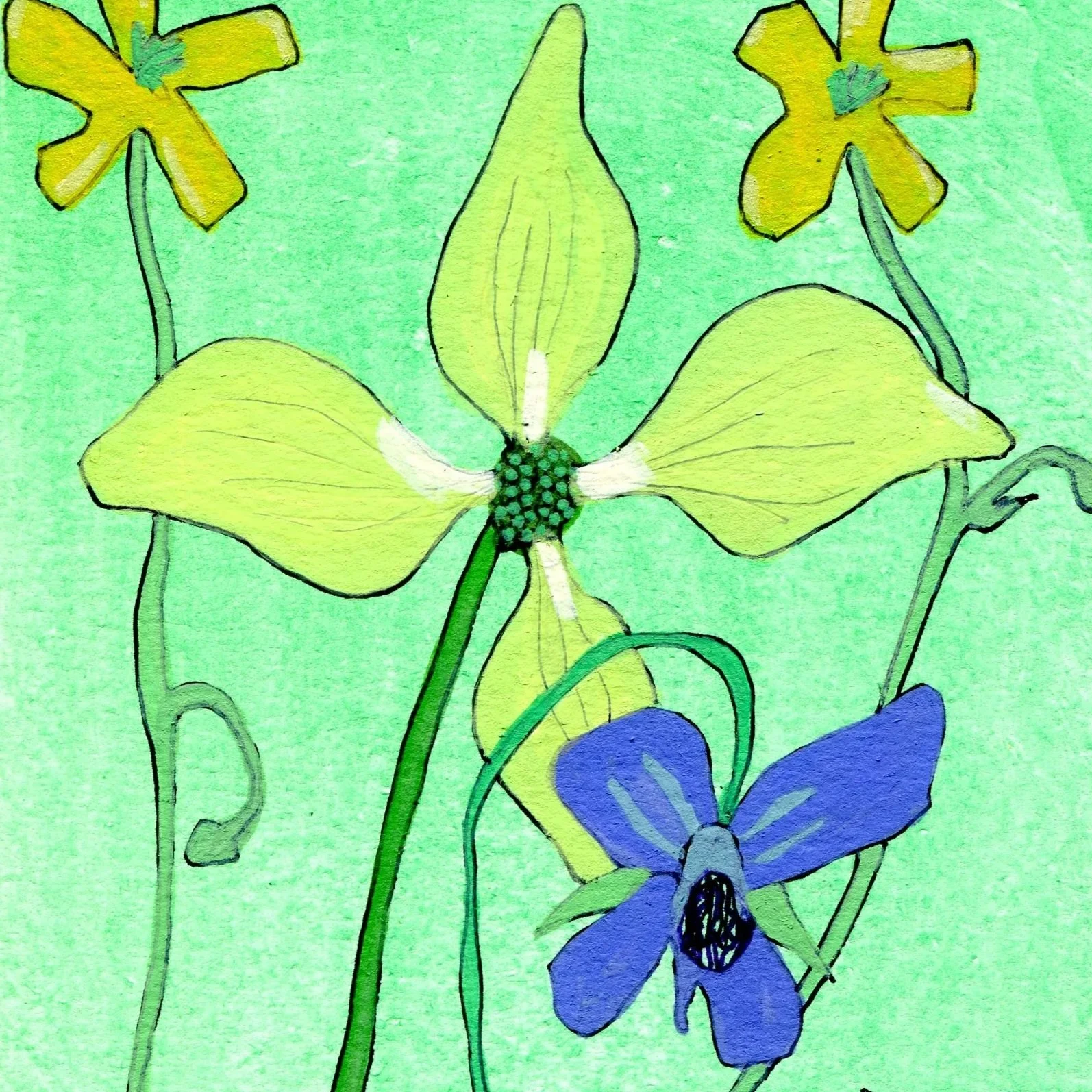 Title: Day 6: dogwood, violet, flowering bluet and woodsorrel. (2026) 
Dimensions: 5 x 7 in. 
Medium: Gouache, ink, acrylic marker and gel pen on acid-free paper.