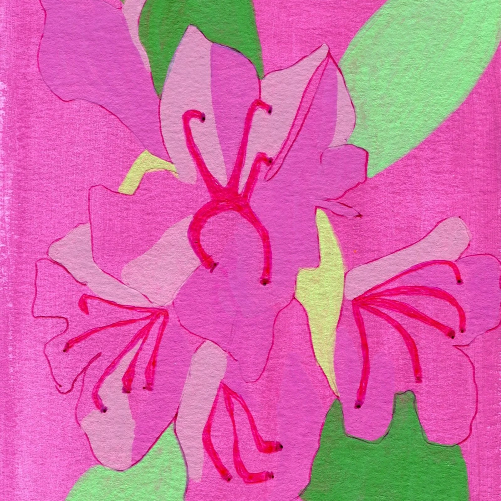 Title: Day 7: rhododendron. (2026) 
Dimensions: 5 x 7 in. 
Medium: Ink and acrylic on acid-free paper.