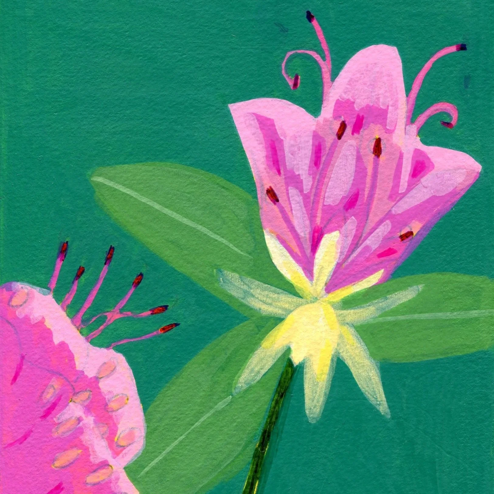 Title: Day 8: rhododendron. (2026) 
Dimensions: 5 x 7 in. 
Medium: Ink and acrylic on acid-free paper.