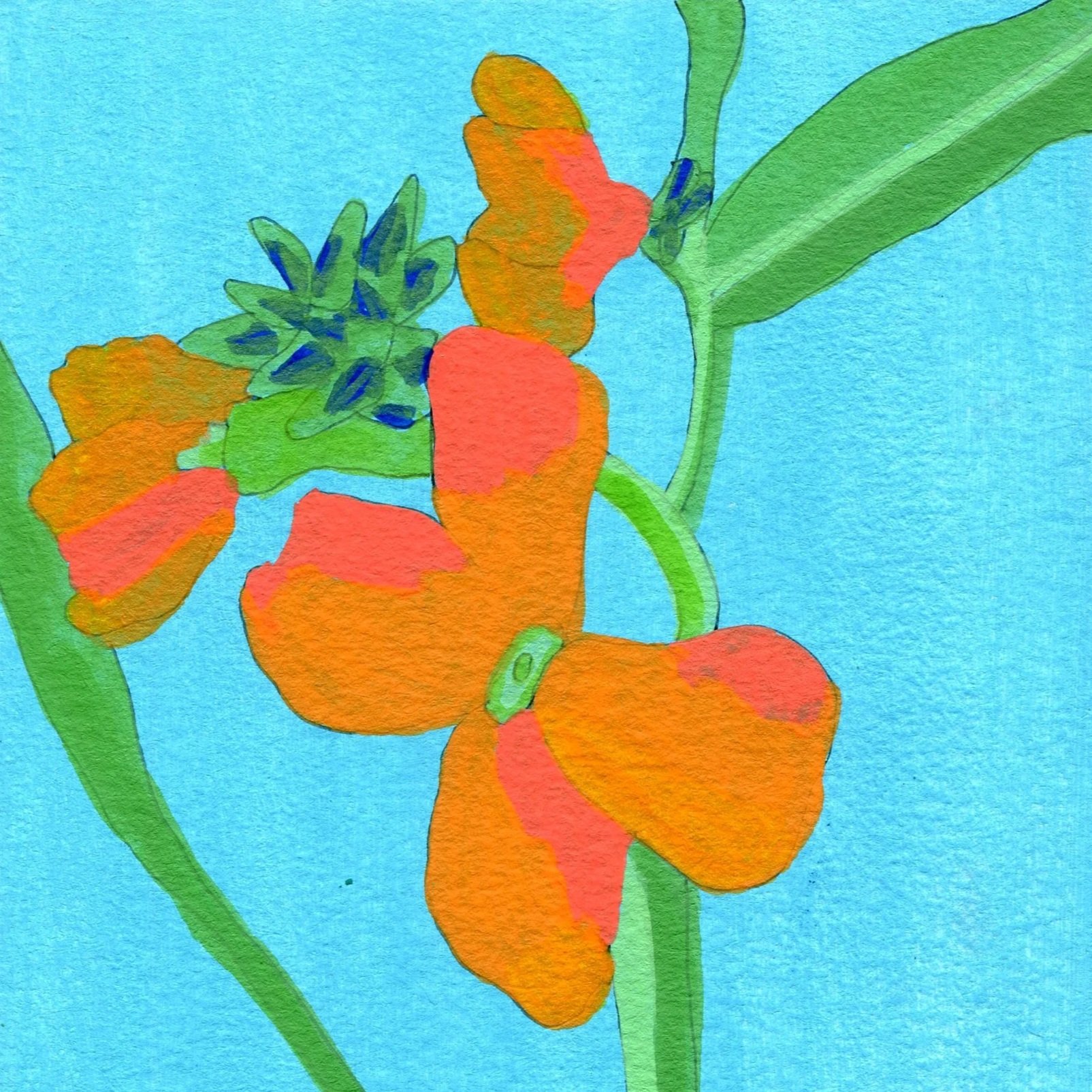 Title: Day 9: wallflowers. (2026) 
Dimensions: 5 x 7 in. 
Medium: Ink and acrylic on acid-free paper.