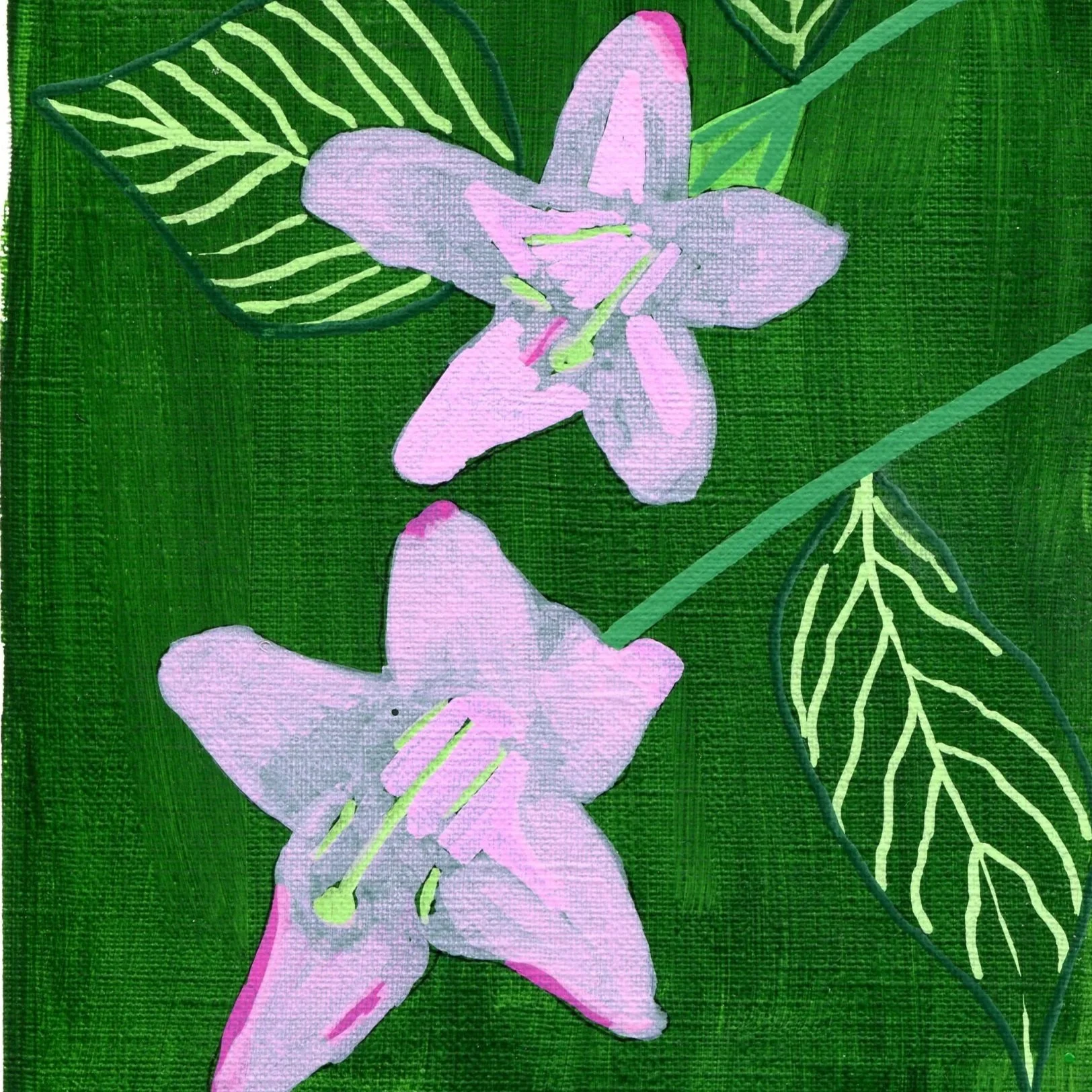 Title: Day 13: weigela florida ‘Alexandra’. (2026) 
Dimensions: 5 x 7 in. 
Medium: Ink and acrylic on acid-free paper.