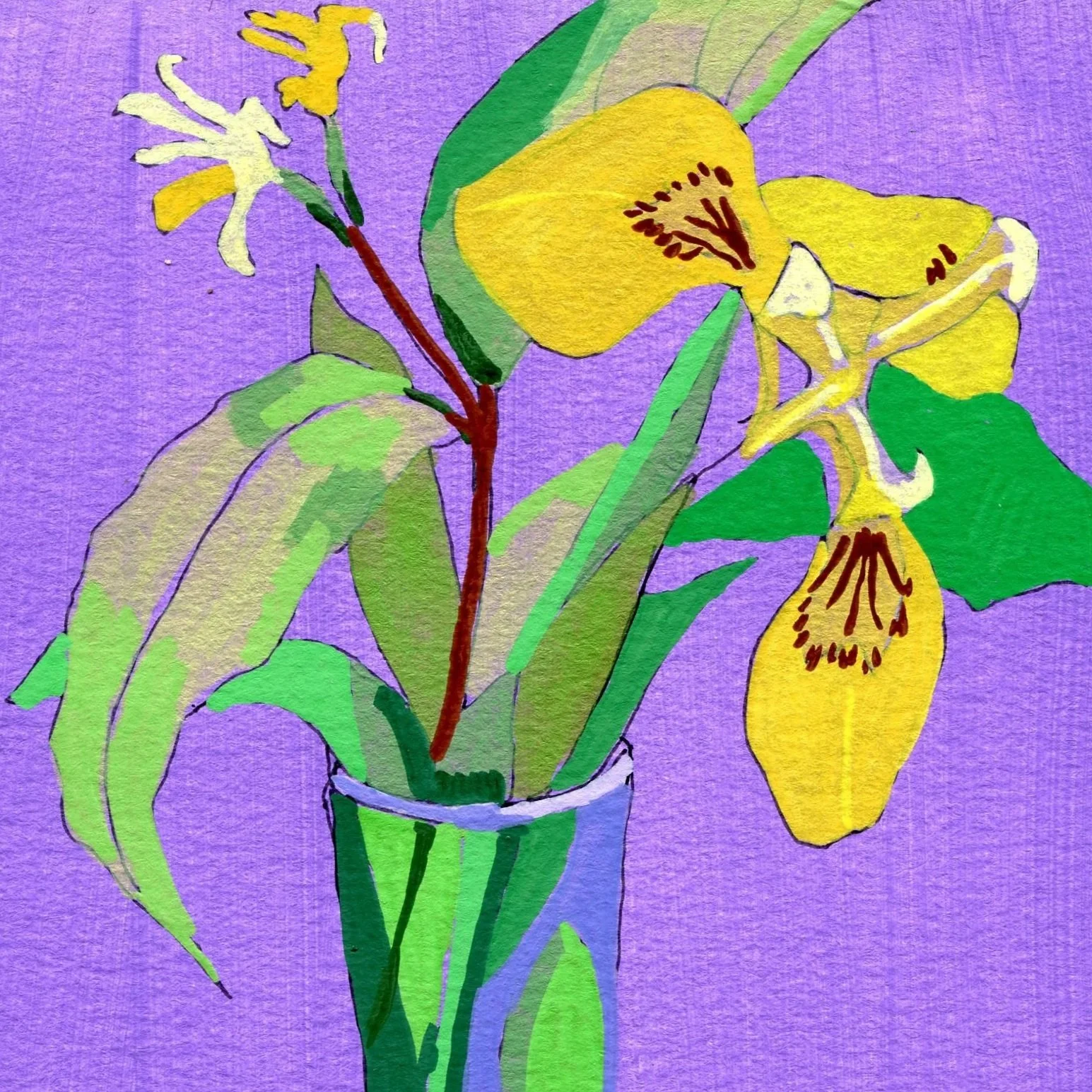 Title: Day 25: iris and bush honeysuckle (2026) 
Dimensions: 5 x 7 in. 
Medium: Ink and acrylic on acid-free paper.