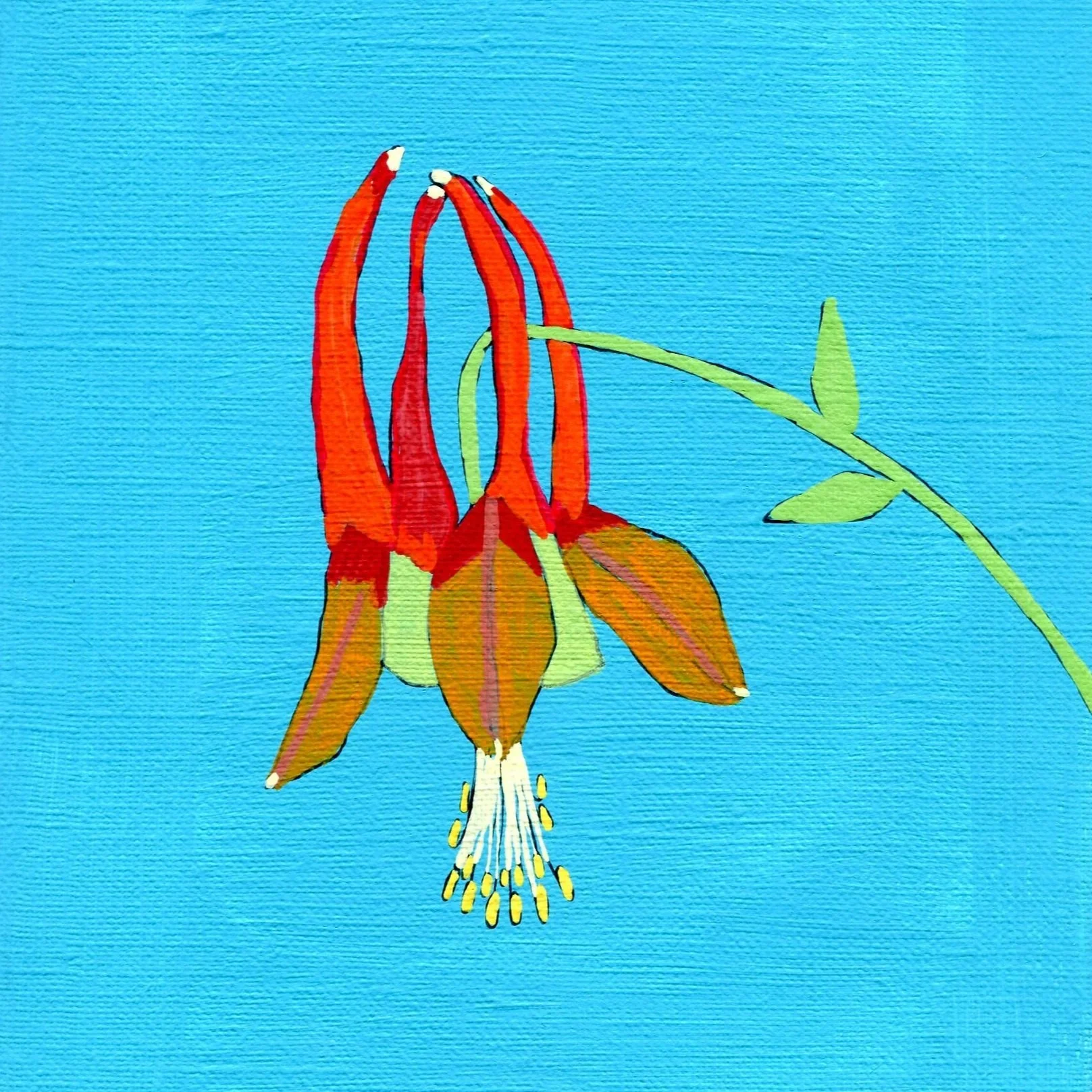 Title: Day 17: red columbine. (2026) 
Dimensions: 5 x 7 in. 
Medium: Ink and acrylic on acid-free paper.