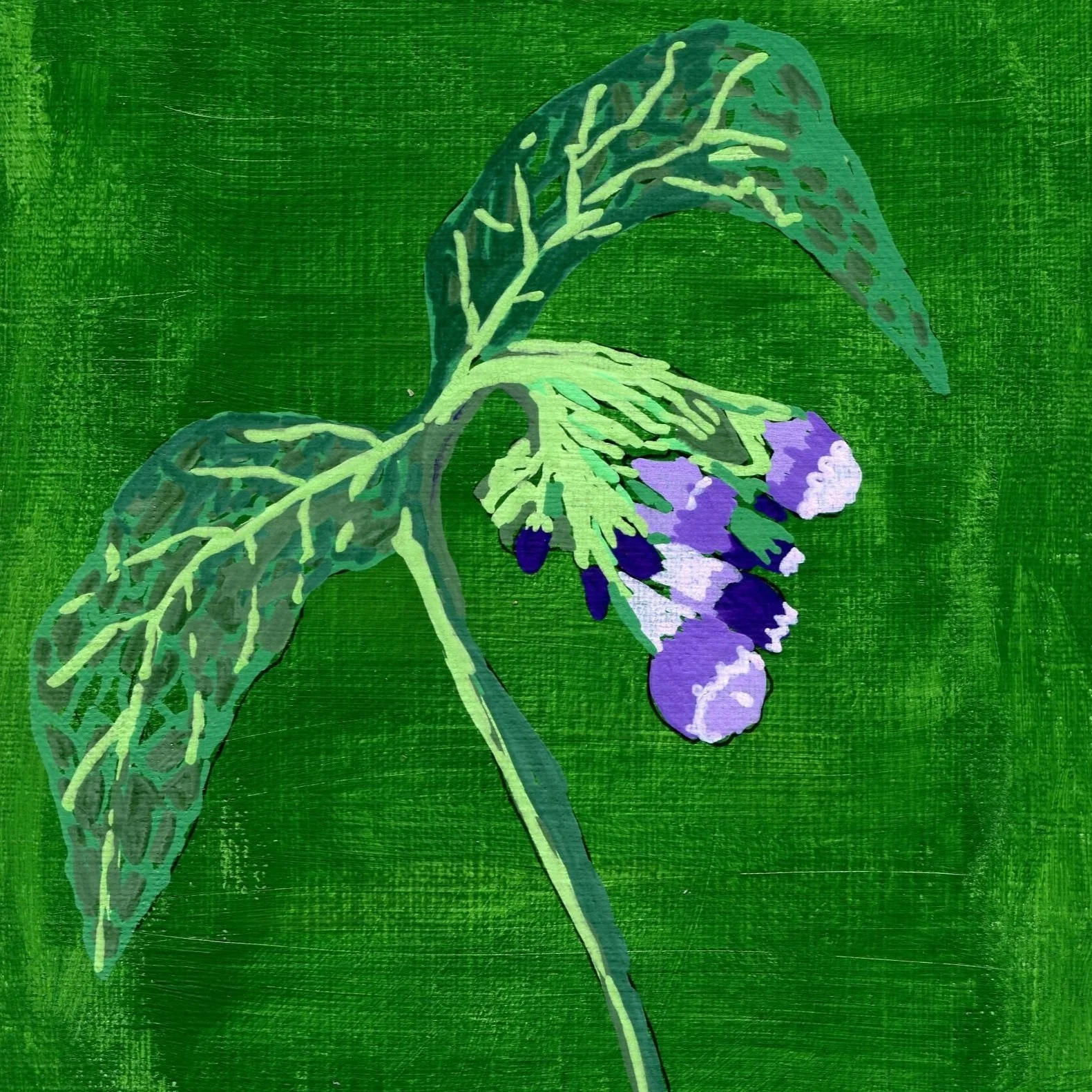 Title: Day 19: comfrey (2026) 
Dimensions: 5 x 7 in. 
Medium: Ink and acrylic on acid-free paper.