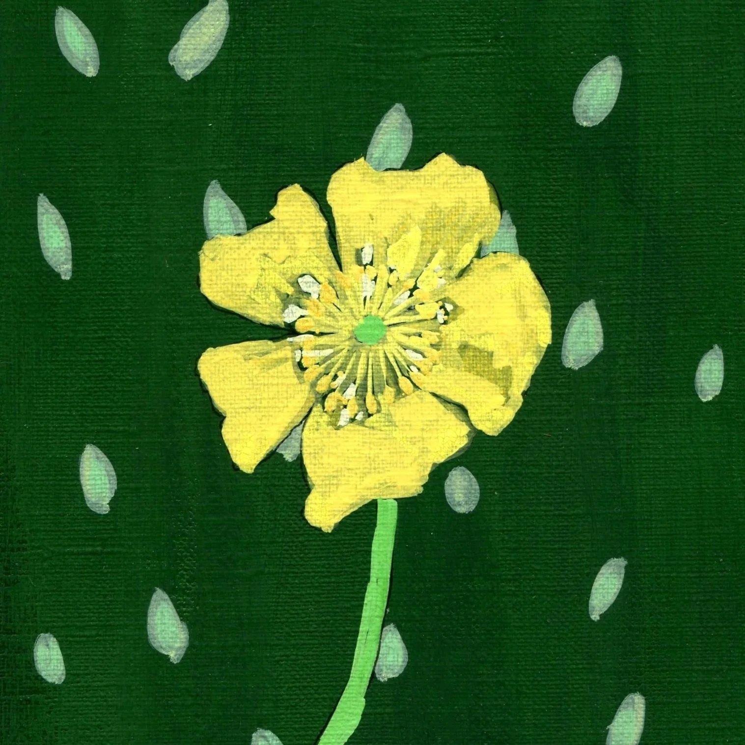 Title: Day 20: buttercup (2026) 
Dimensions: 5 x 7 in. 
Medium: Ink and acrylic on acid-free paper.
