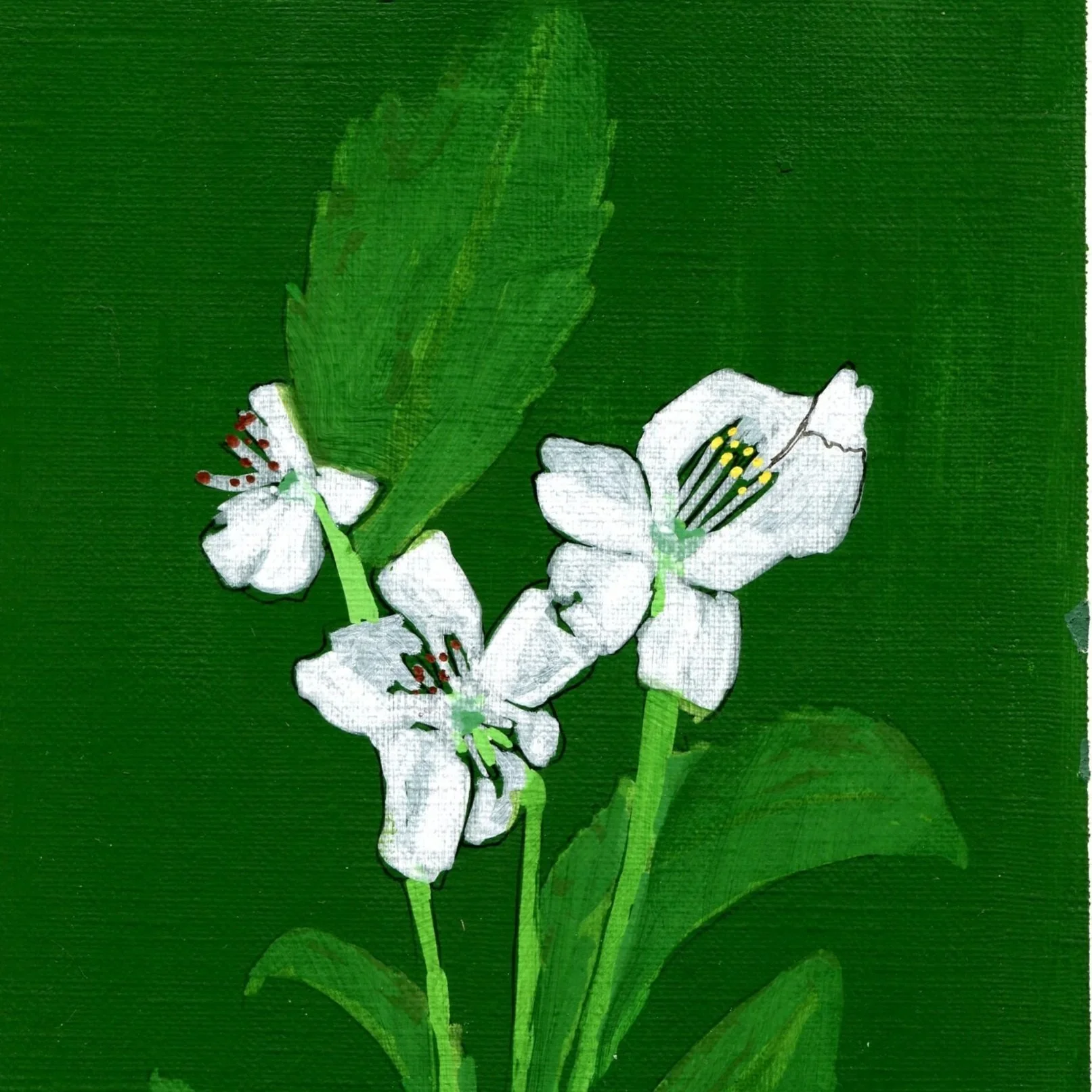 Title: Day 23: crabapple (2026) 
Dimensions: 5 x 7 in. 
Medium: Ink and acrylic on acid-free paper.