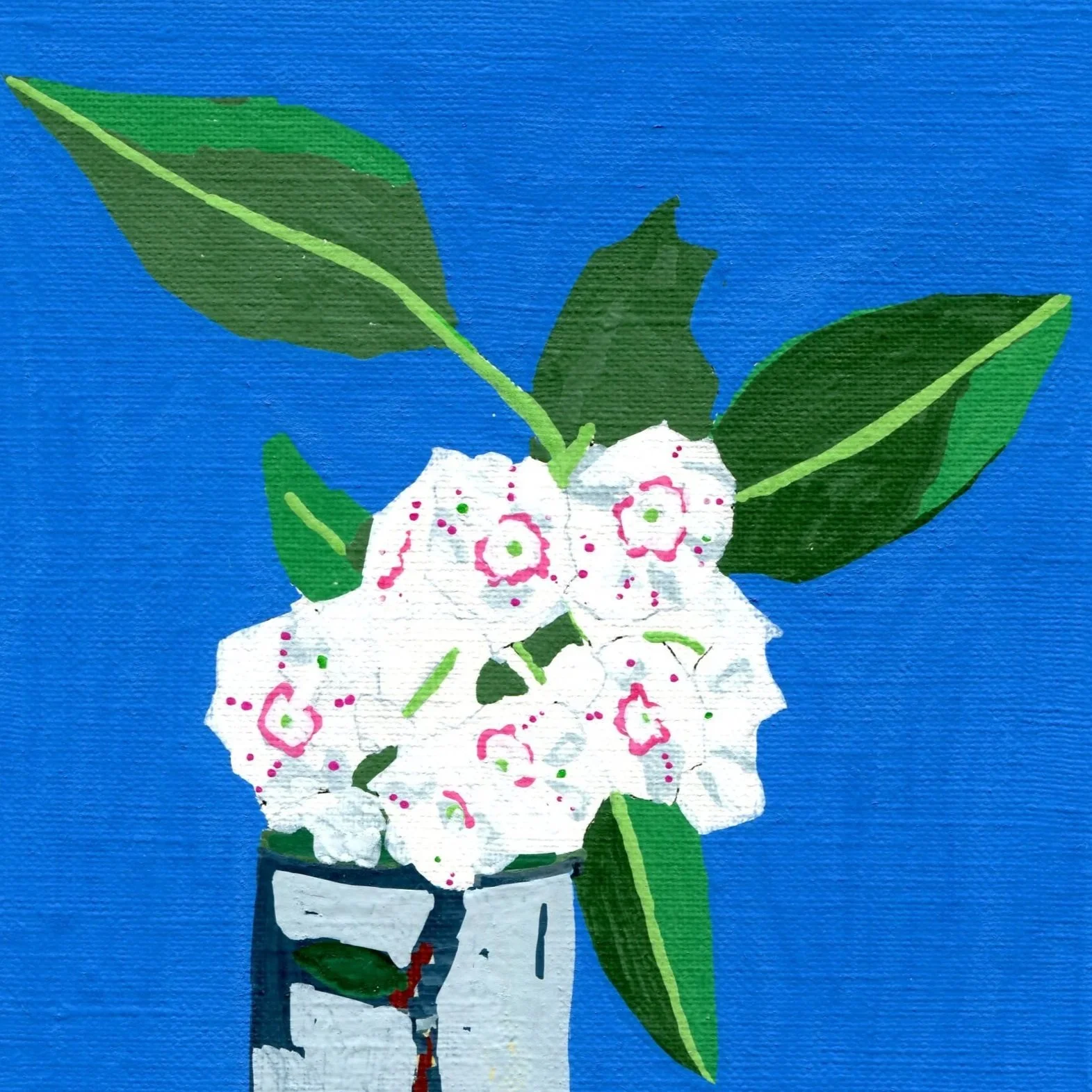 Title: Day 27: mountain laurel (2026) 
Dimensions: 5 x 7 in. 
Medium: Ink and acrylic on acid-free paper.
