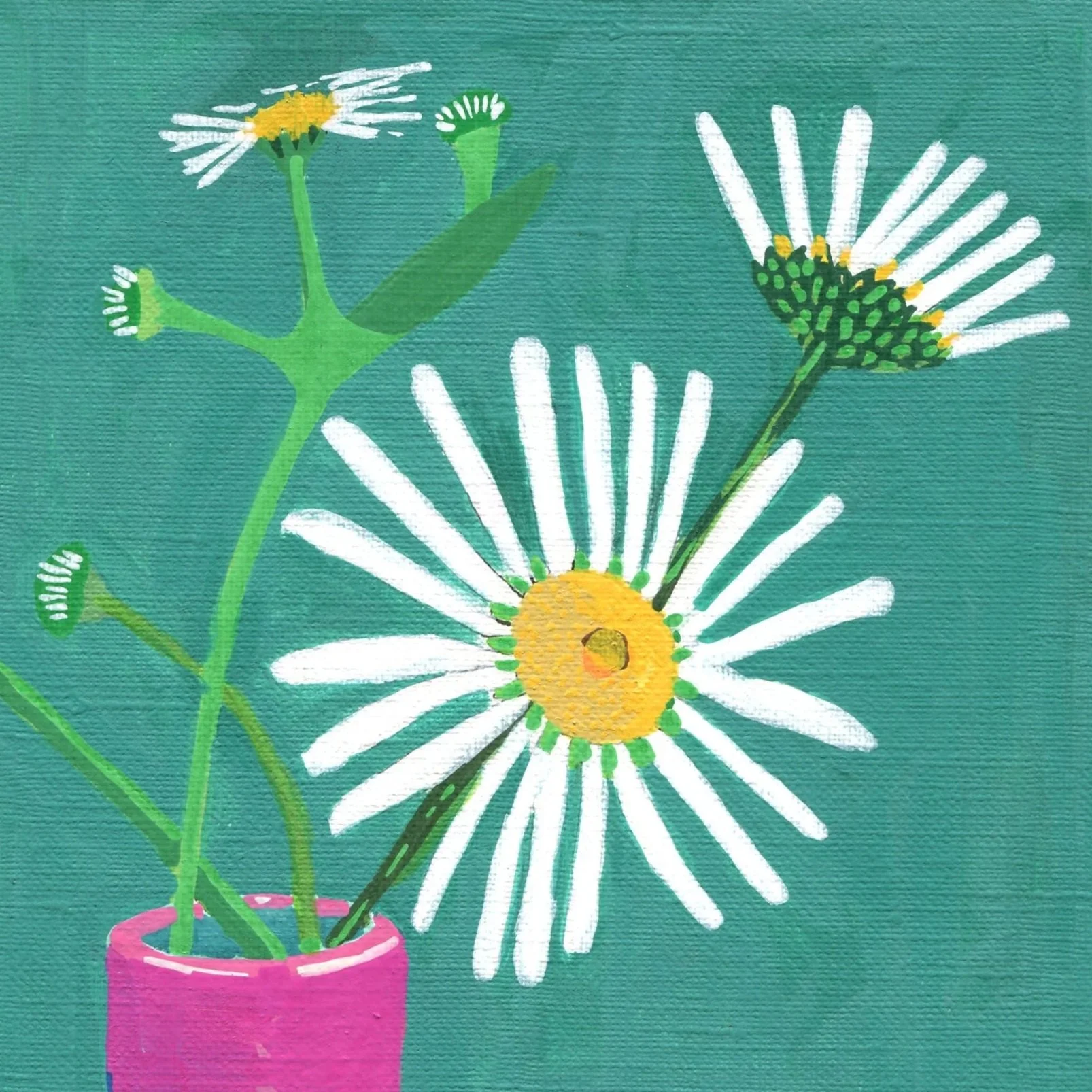 Title: Day 29: daisies (2026) 
Dimensions: 5 x 7 in. 
Medium: Ink and acrylic on acid-free paper.