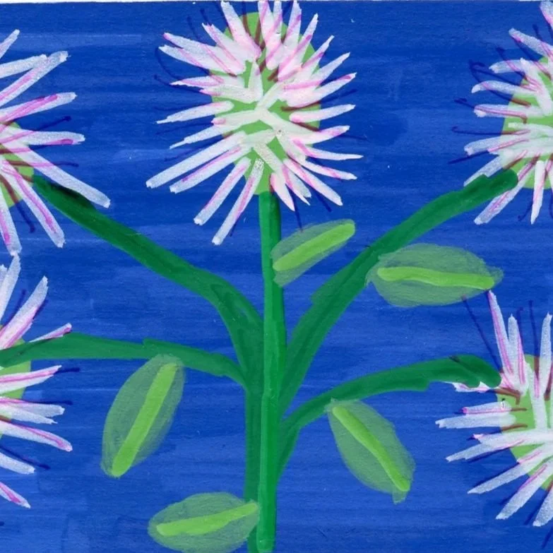 Title: Day 45: rabbit-foot clover (2026) Dimensions: 4 x 6 in. Medium: Ink and acrylic in sketchbook.