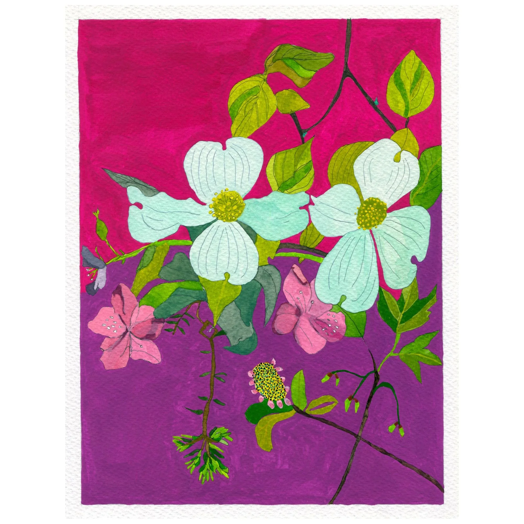 Title:  Novel Botanical 2 (2024)
Dimensions: 8 x 10 in.
Medium: Watercolor, gouache and ink on paper