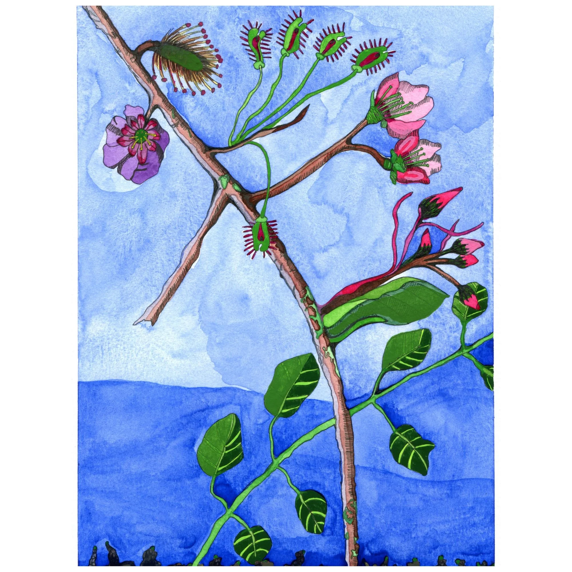 Title: Novel Botanical 17: Novel Spring 3 (2025).
Dimensions: 7 x 10 x .01
Medium: Watercolor and ink on paper.