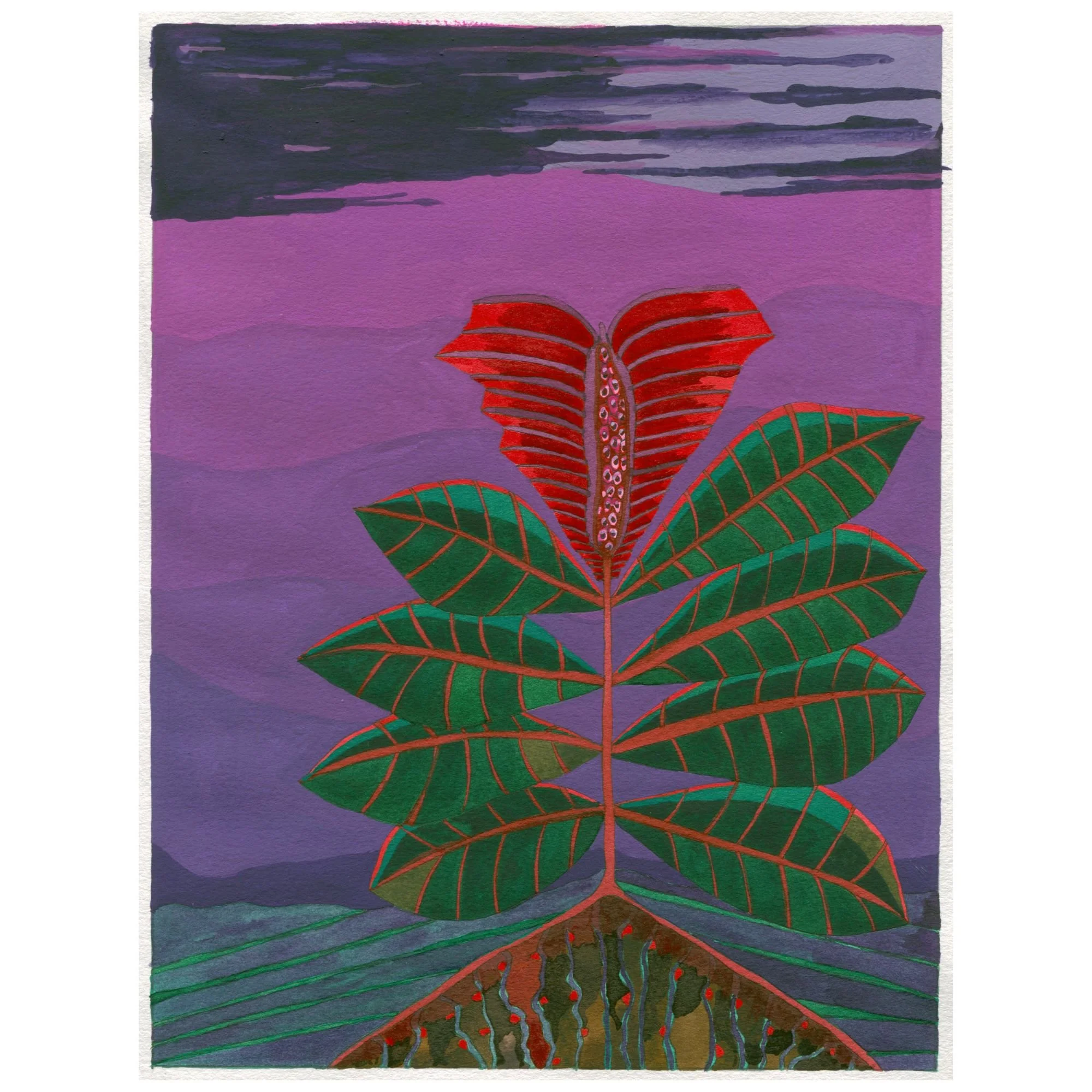 Title: Novel Botanical 12 (2024). Dimensions: 7 x 10 x .01 Medium: Watercolor and ink on paper.