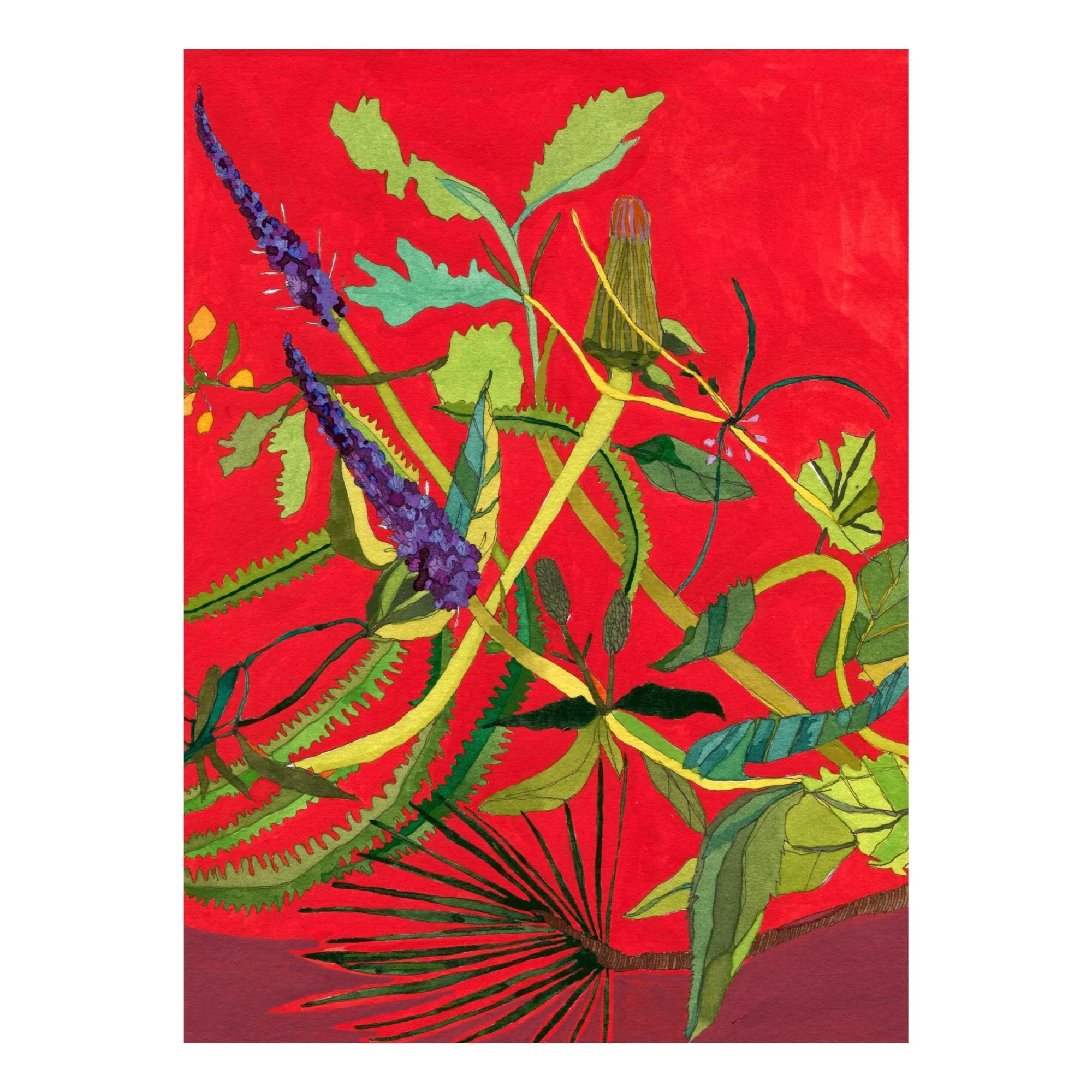 Title:  Novel Botanical 1 (2024)
Dimensions: 8 x 10 in.
Medium: Watercolor, gouache and ink on paper