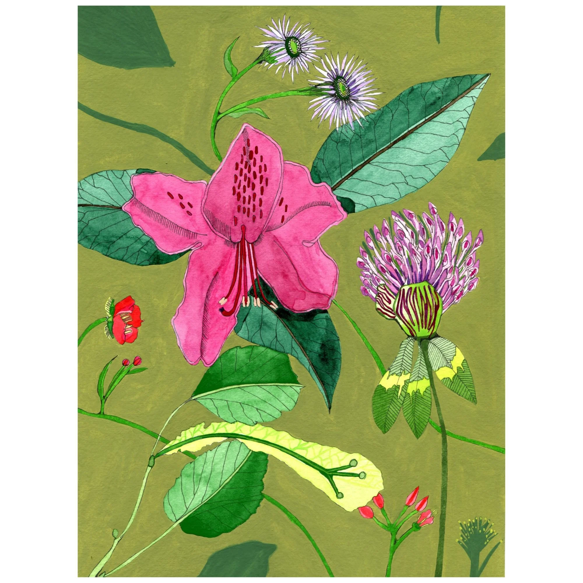 Title: Novel Botanical 20 (2025). Dimensions: 7 x 10 x .01 Medium: Watercolor, ink and gouache on paper.