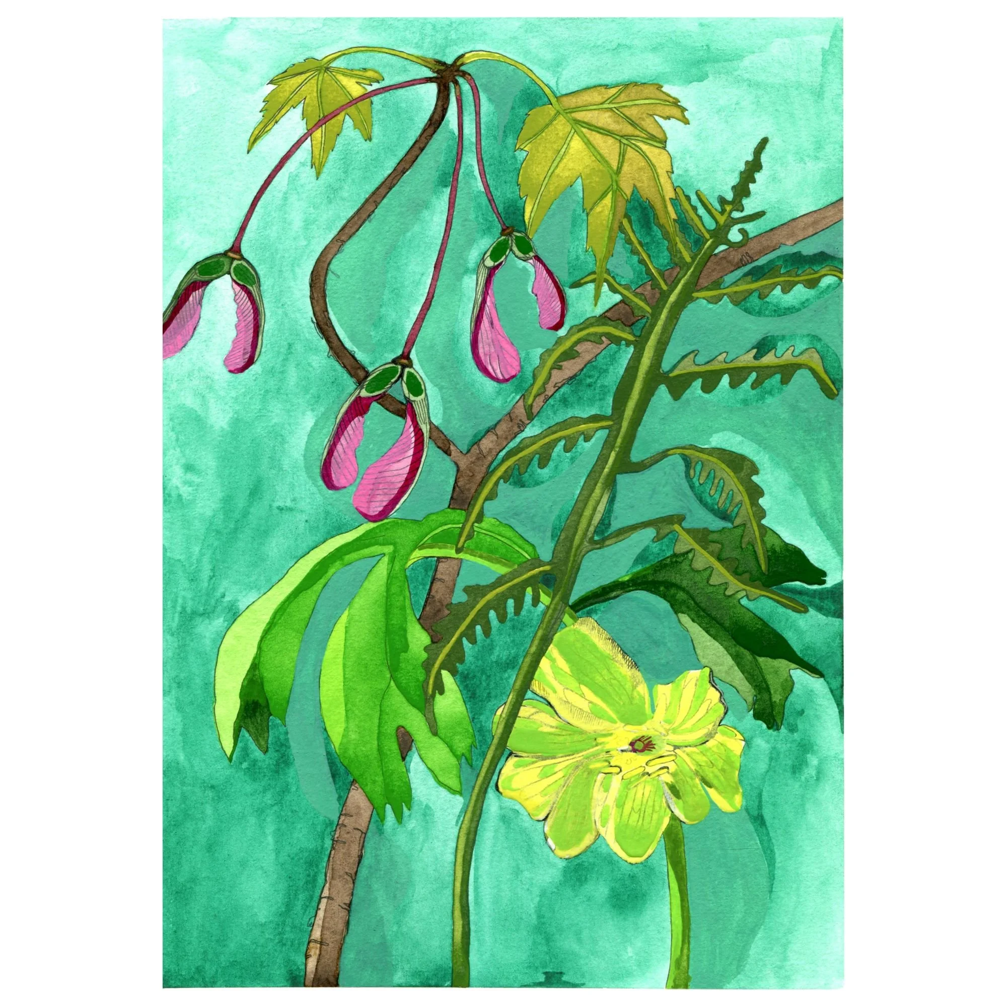 Title: Novel Botanical 19 (2025). Dimensions: 7 x 10 x .01 Medium: Watercolor and ink on paper.