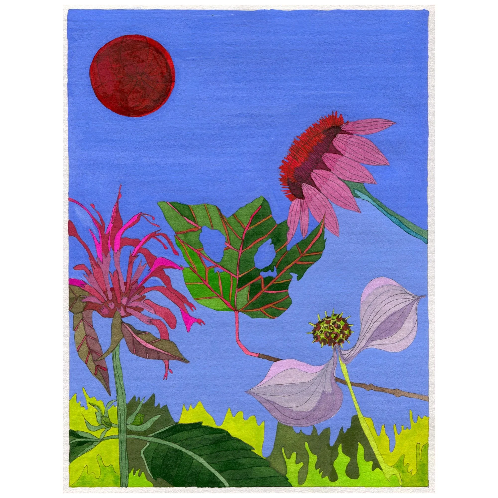 Title:  Novel Botanical 9 (2024)
Dimensions: 8 x 10 in.
Medium: Watercolor, gouache and ink on paper