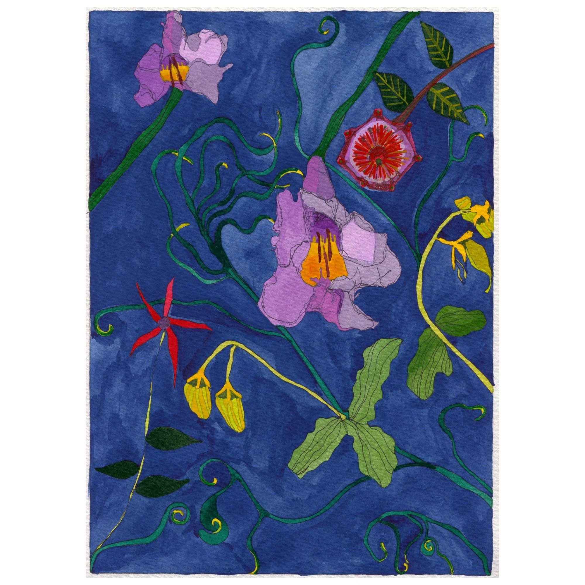 Title:  Novel Botanical 6 (2024)
Dimensions: 8 x 10 in.
Medium: Watercolor, gouache and ink on paper